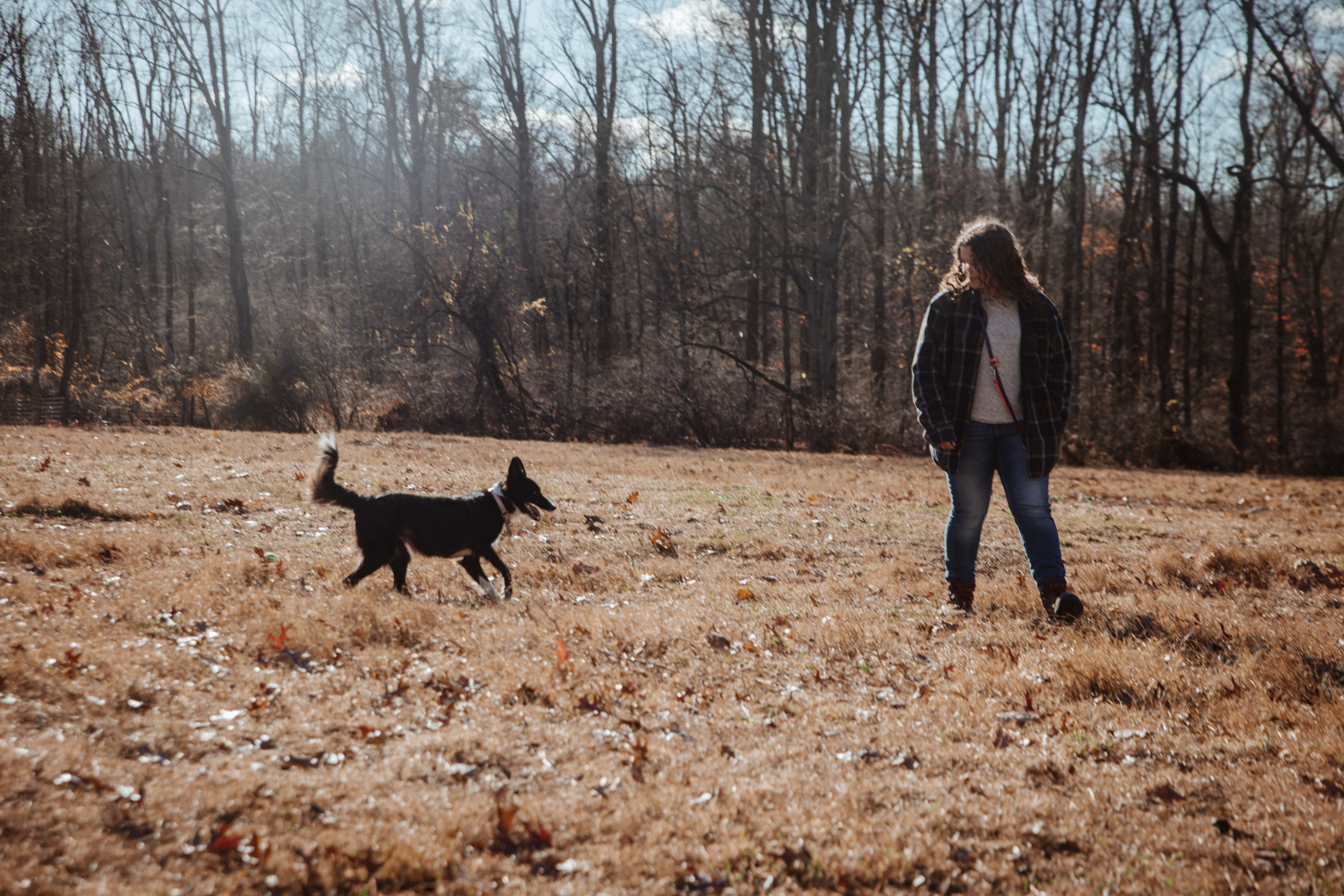 Raspberry Ridge Sheep Farm and the ATBA | Bangor PA