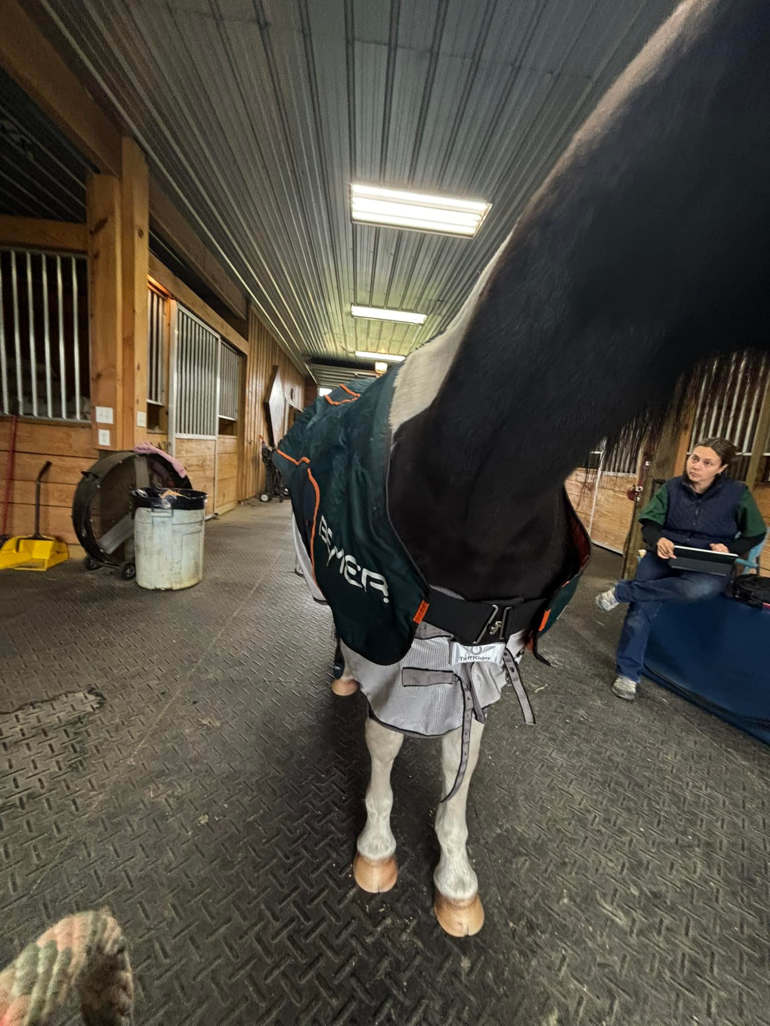 Silverbit Stables | Jacksonville NC