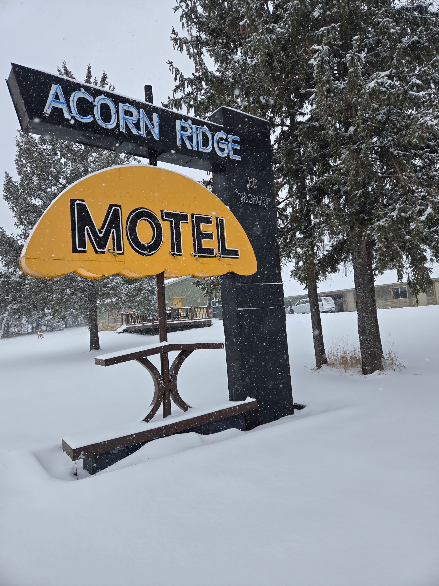 Acorn - White gold has arrived! ️ With a solid layer of ice on the ...
