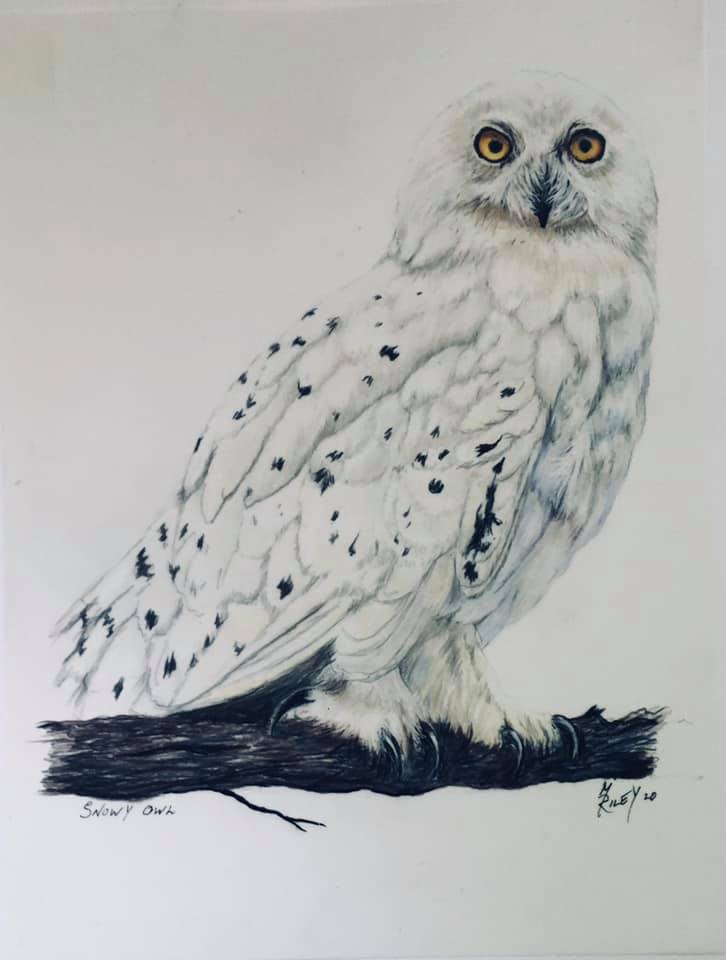 Mary Riley Fine Art