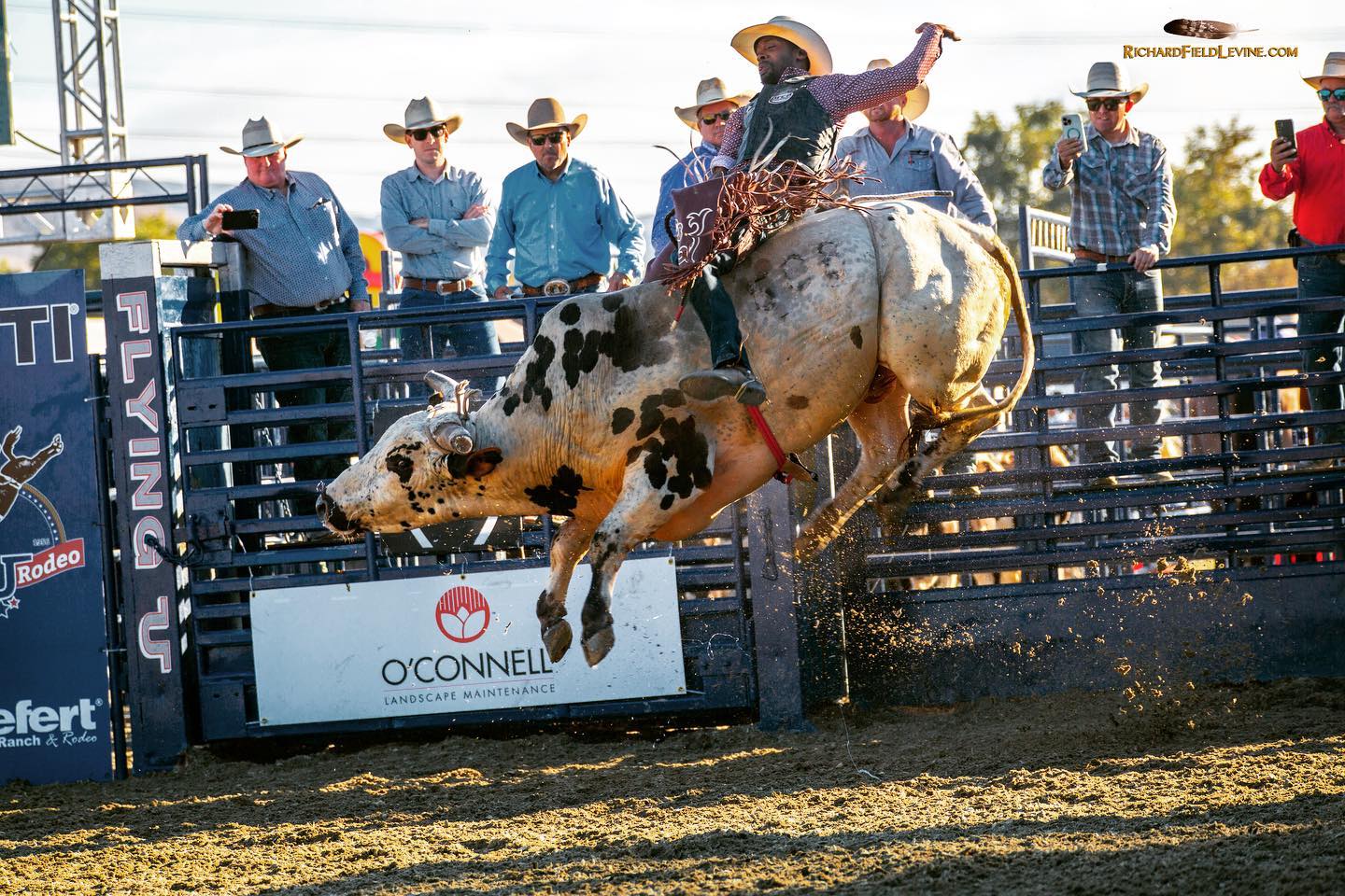 🐂🤠 Let's not forget the bond... - Rancho Mission Viejo Rodeo | Facebook