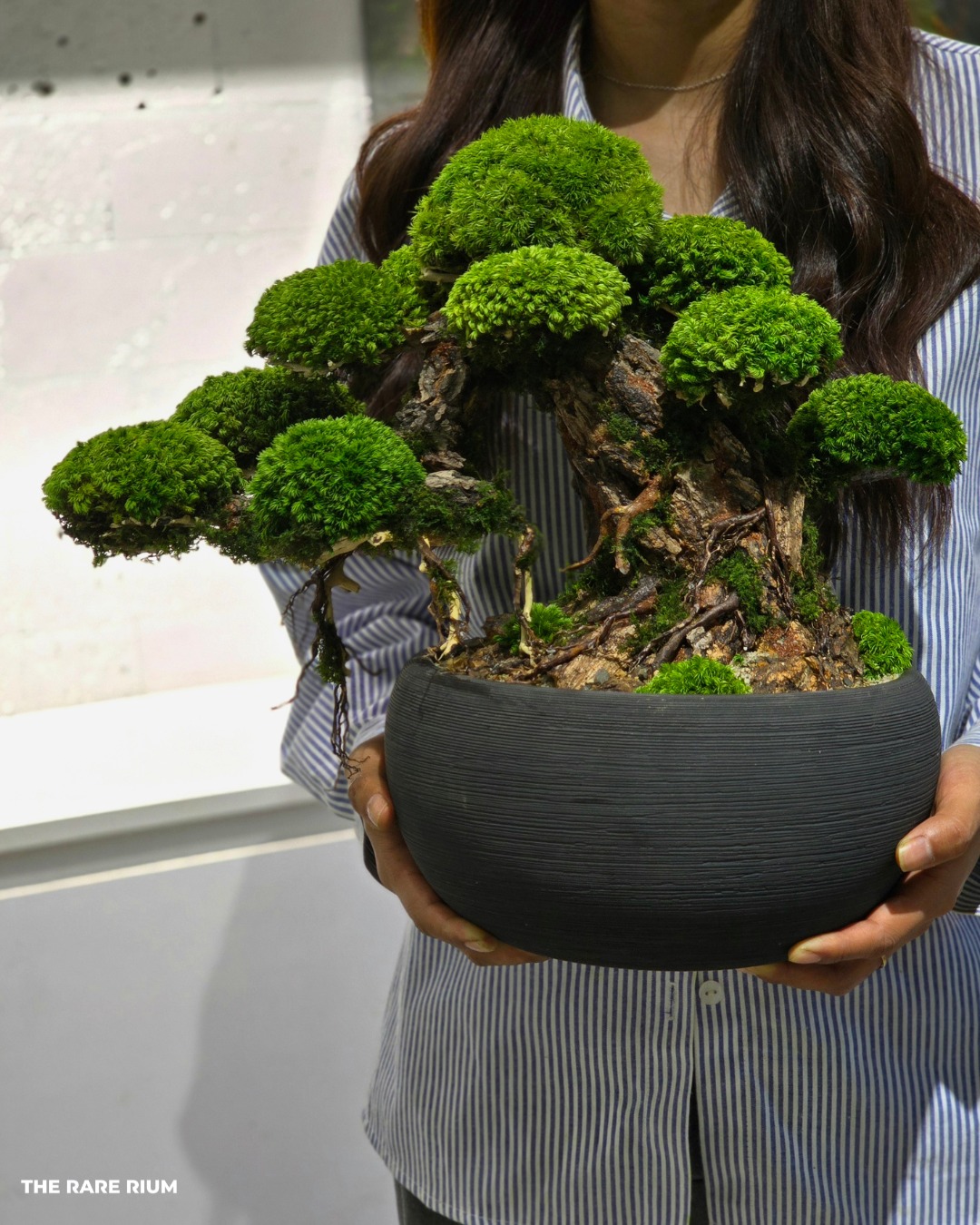The Rare Rium - Plant &... - The Rare Rium - Plant & Moss Art