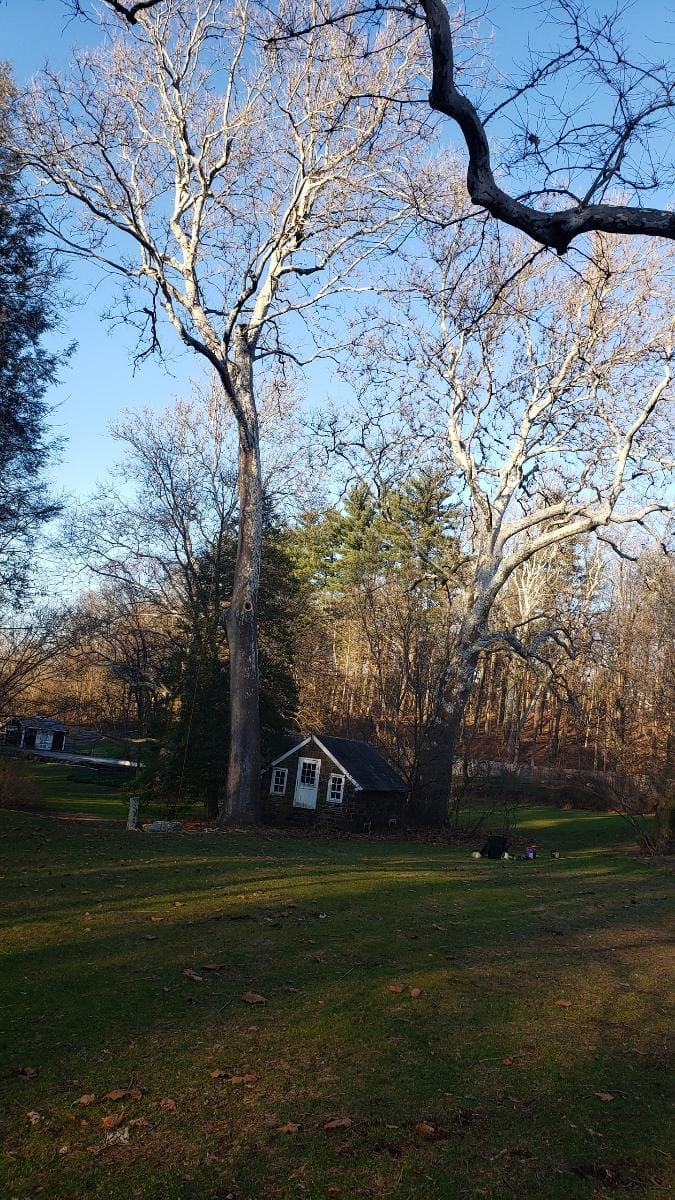 Top notch tree care and landscaping llc | Ivyland PA
