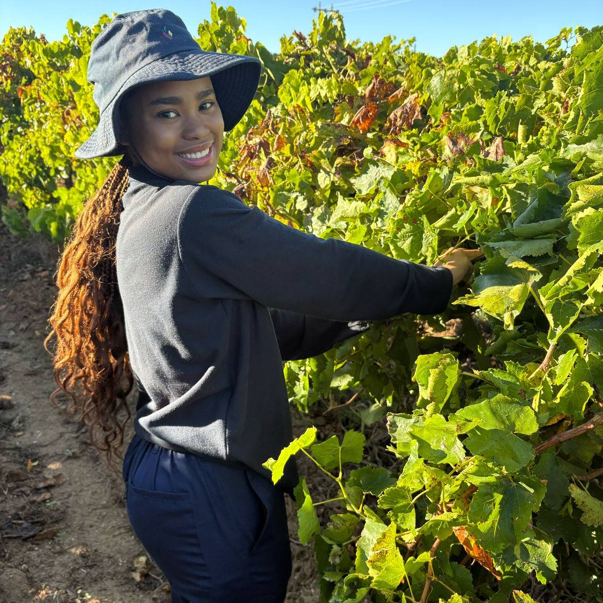 Vine Academy and Model Farm | Kakamas