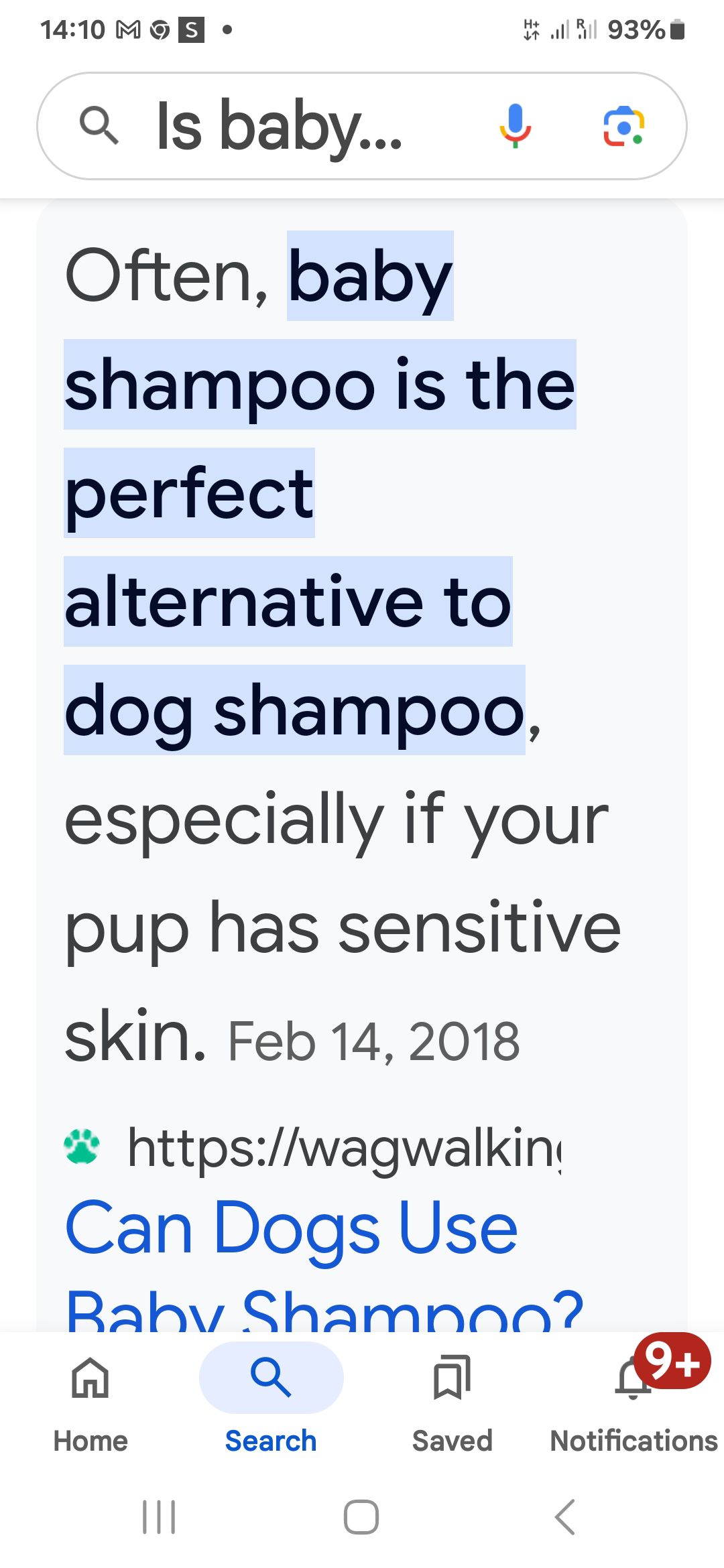 Can I Use Baby Shampoo on My Dog? Expert Insights