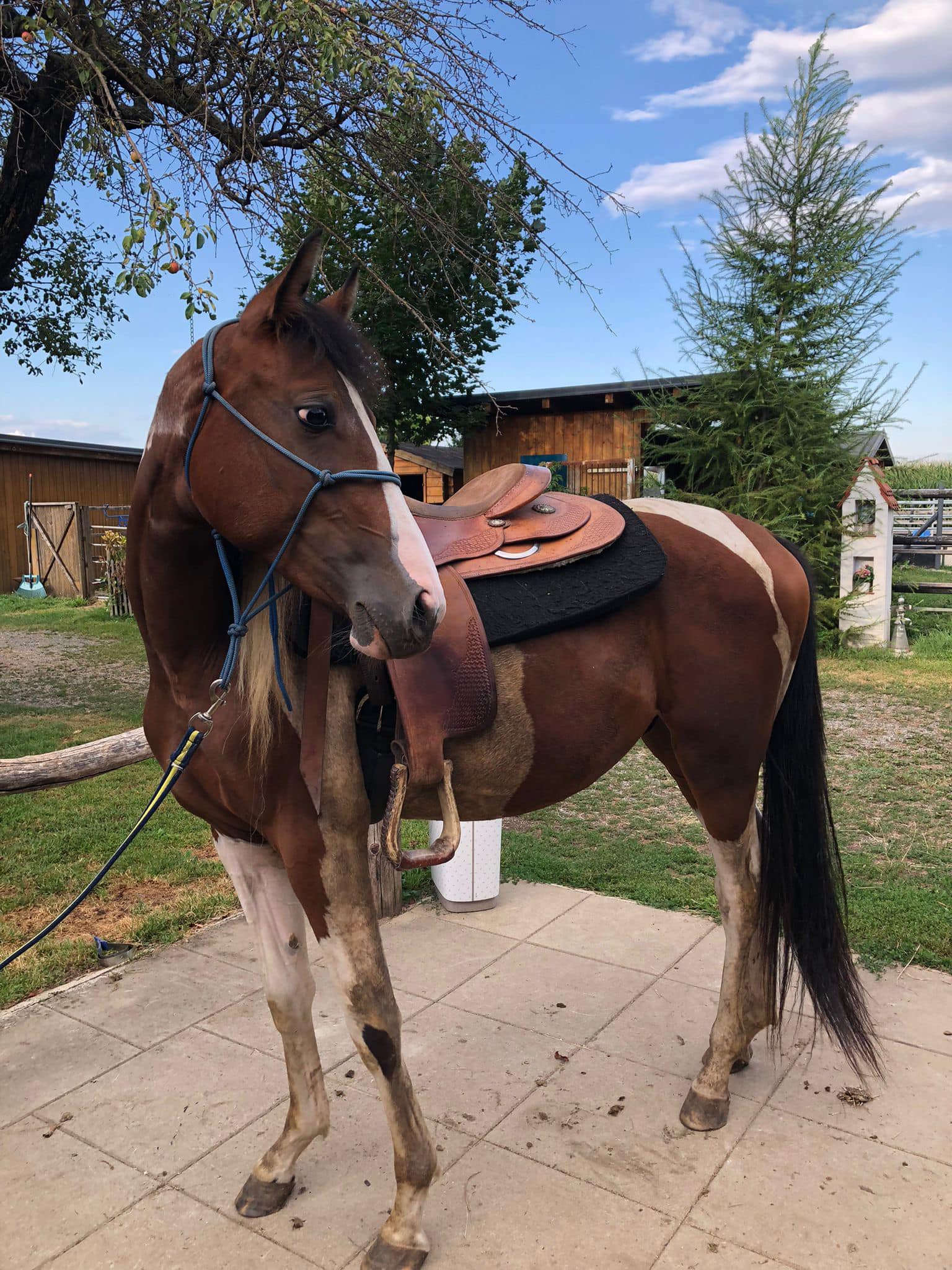 Swan Mountain Ranch | Schwanberg