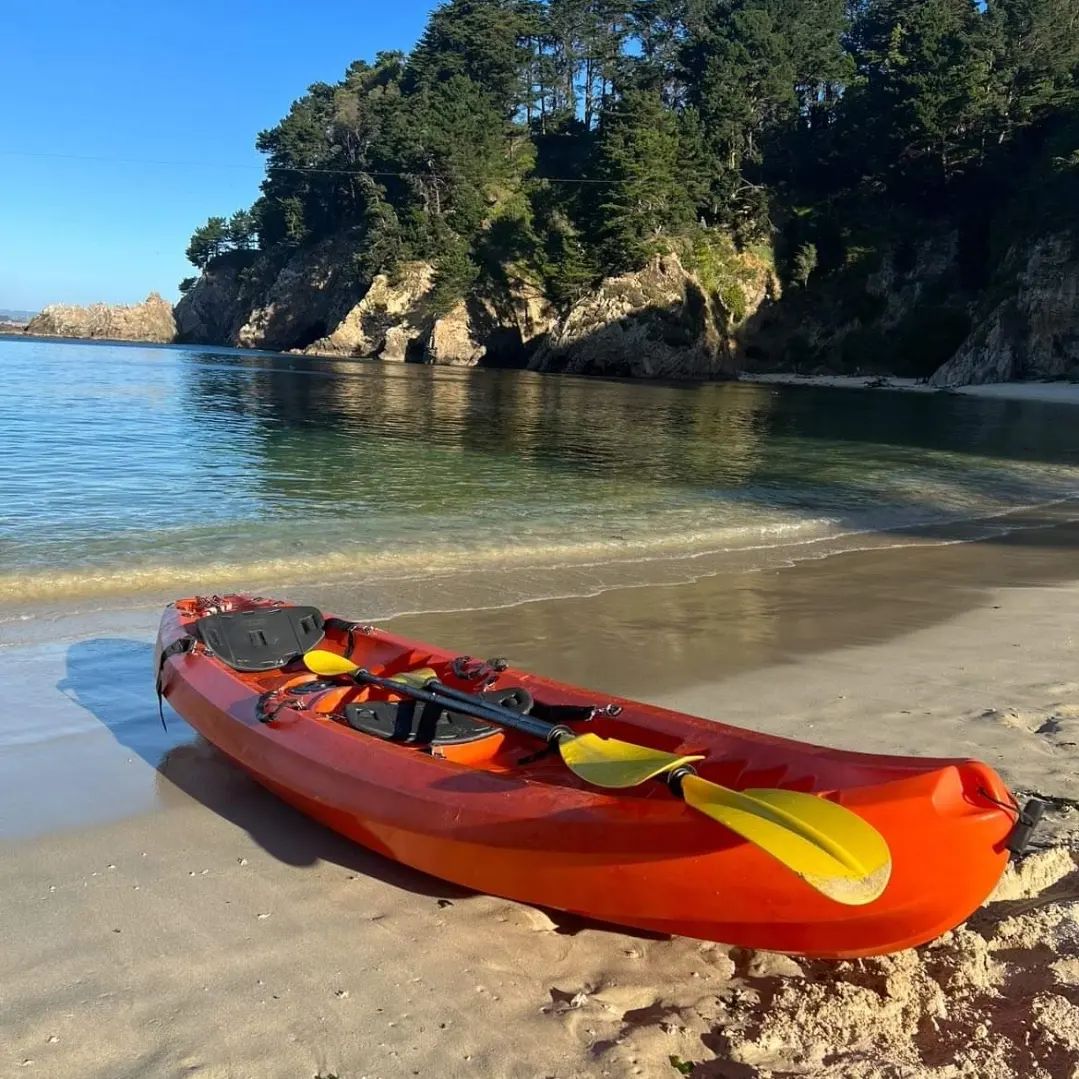 ZonaKayak - Kayak Doble Tornado en oferta, $380.000 incluye 2 remos, 2 ...
