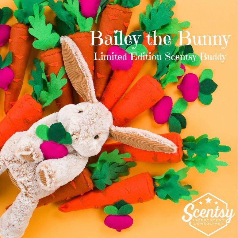 Renee Rutter - Independent Scentsy Consultant