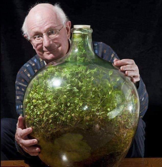 Terrarium garden sealed in a glass bottle for decades