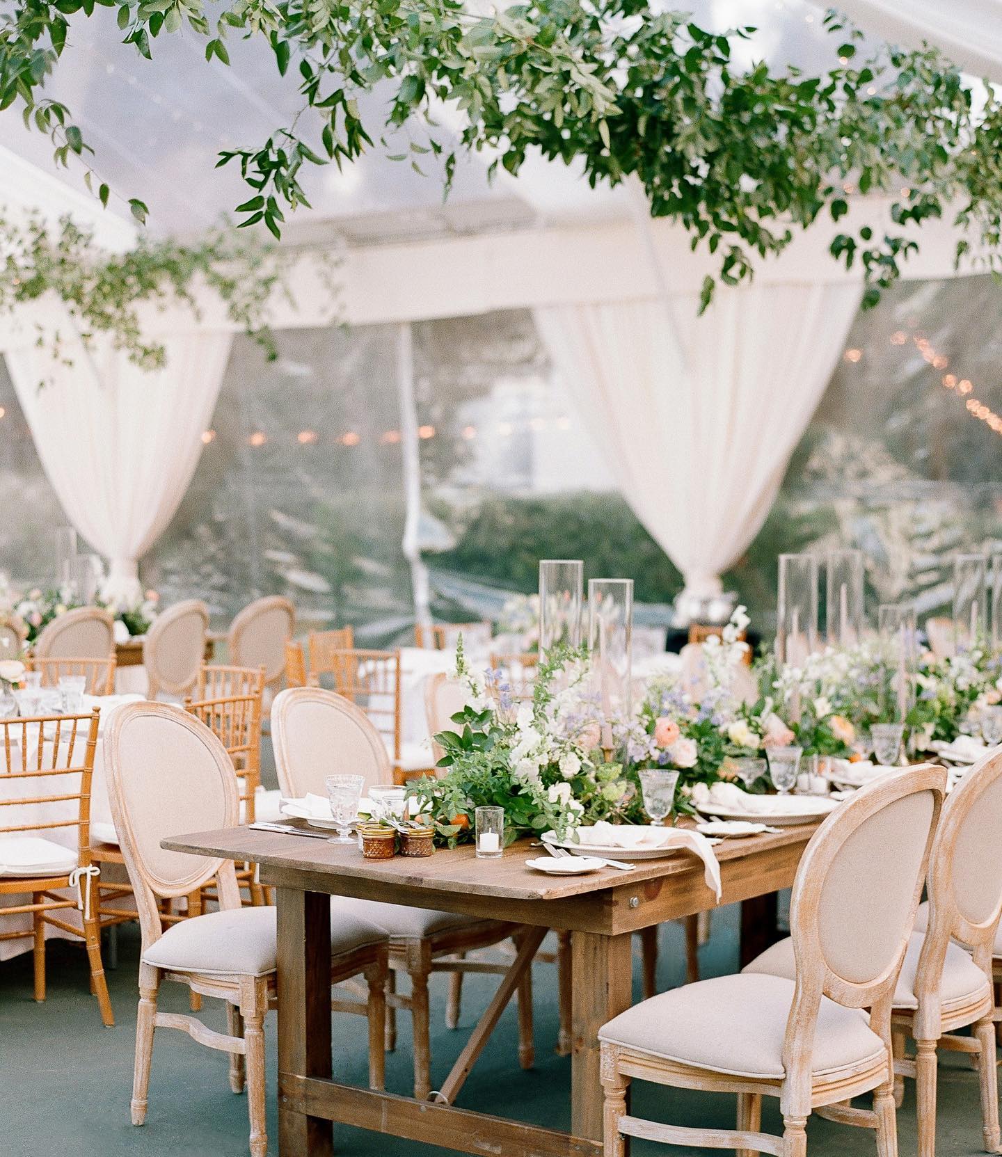 The prettiest early spring color... - Festoon Charleston