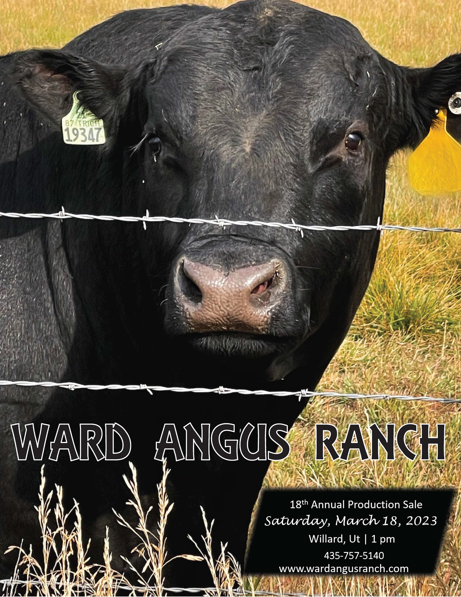 Ward Angus Ranch | Logan UT
