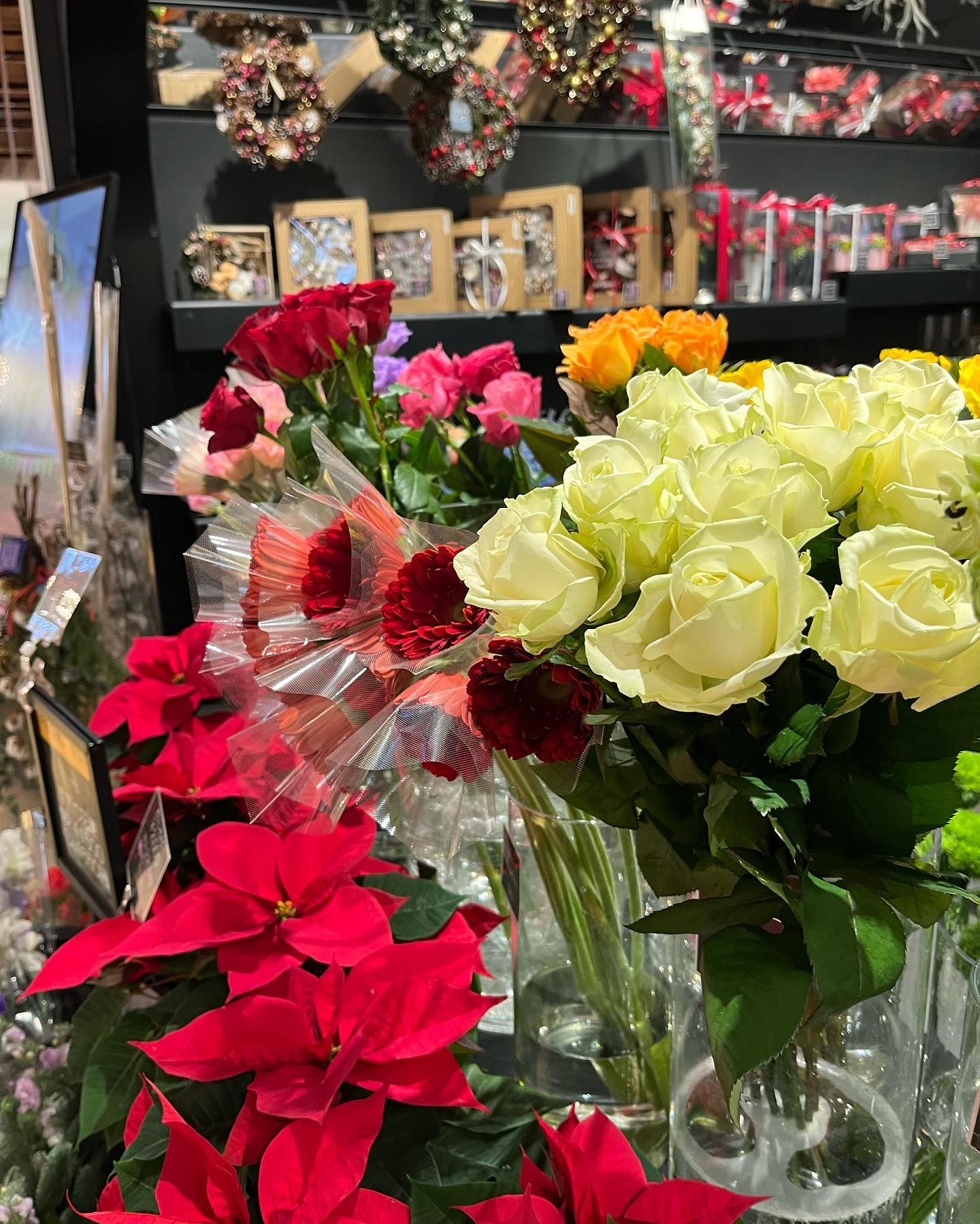 Happyミント神戸店 Kobe Shi Hyogo