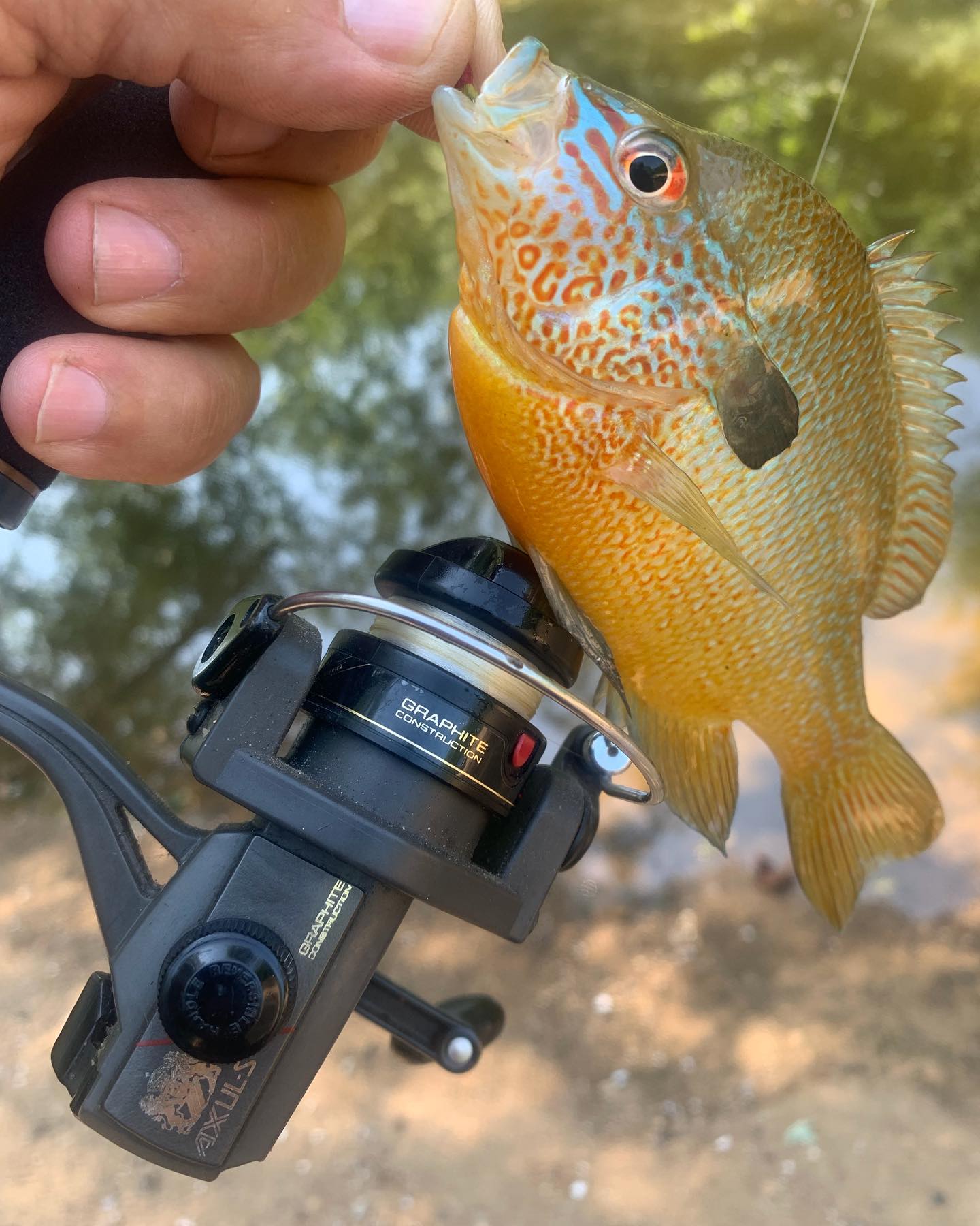 abu garcia ambassadeur 5500c Baitcasting Reel high speed reel Ceramic balls are used Under 200 Best Baitcaster Model:SLSM7XL