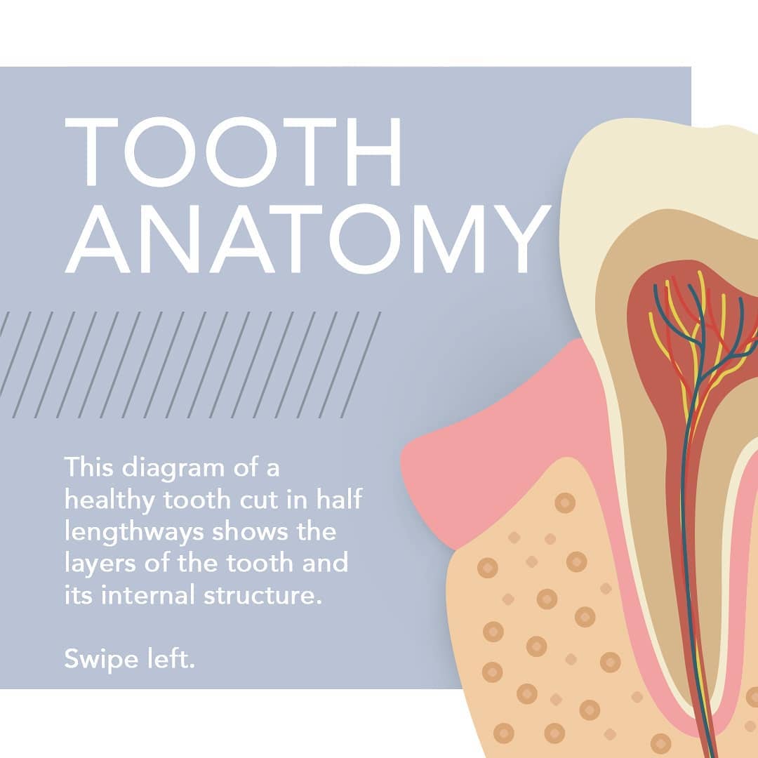 Do you know about the different... - Central Dental Practice | Facebook