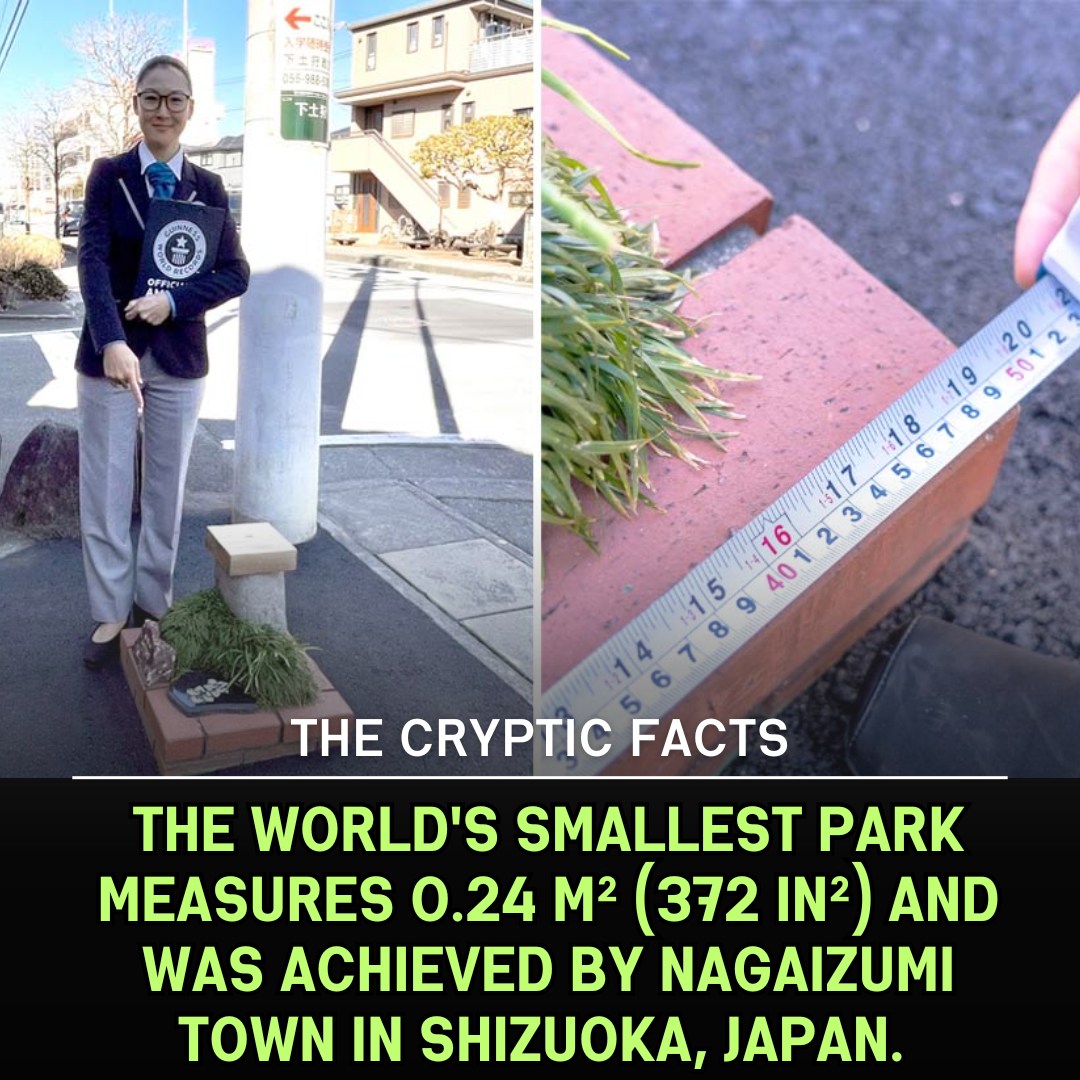 The Cryptic - World's smallest park area is just 0.24 m² is located in ...