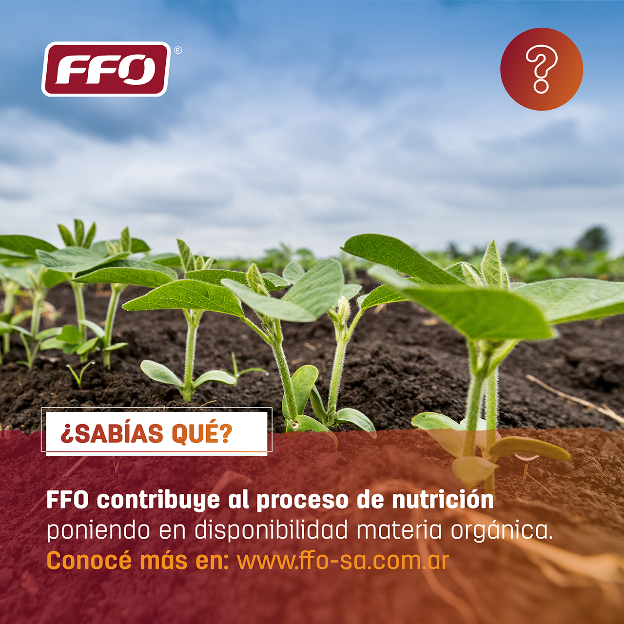 FFO - ¿Sabías que… FFO contribuye al proceso de nutrición...