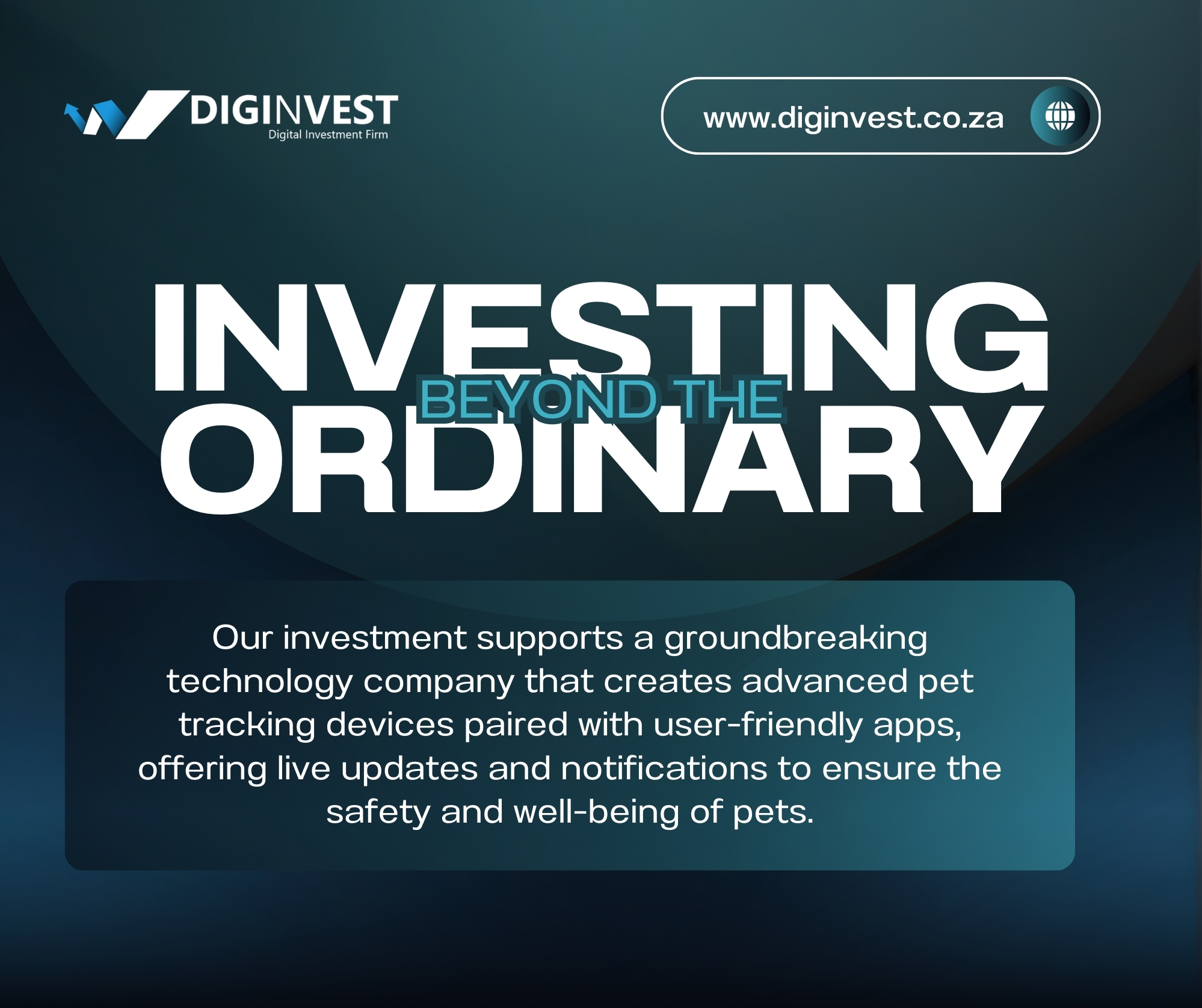 Digivest - Digital Business Investors | Cape Town