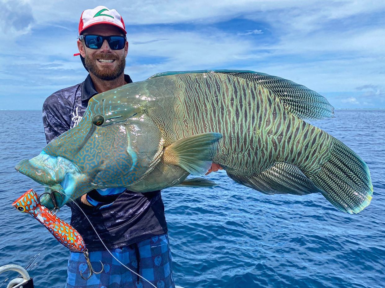 This Wrasse came to a halt with... - BKK Hooks International