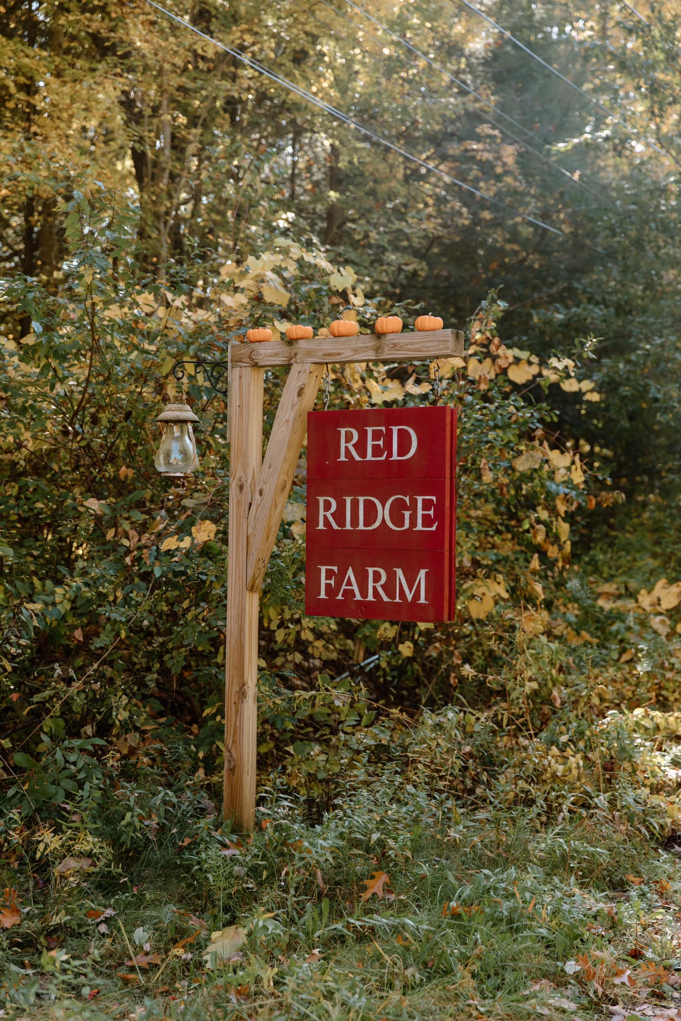 The Meadow at Red Ridge Farm - Home