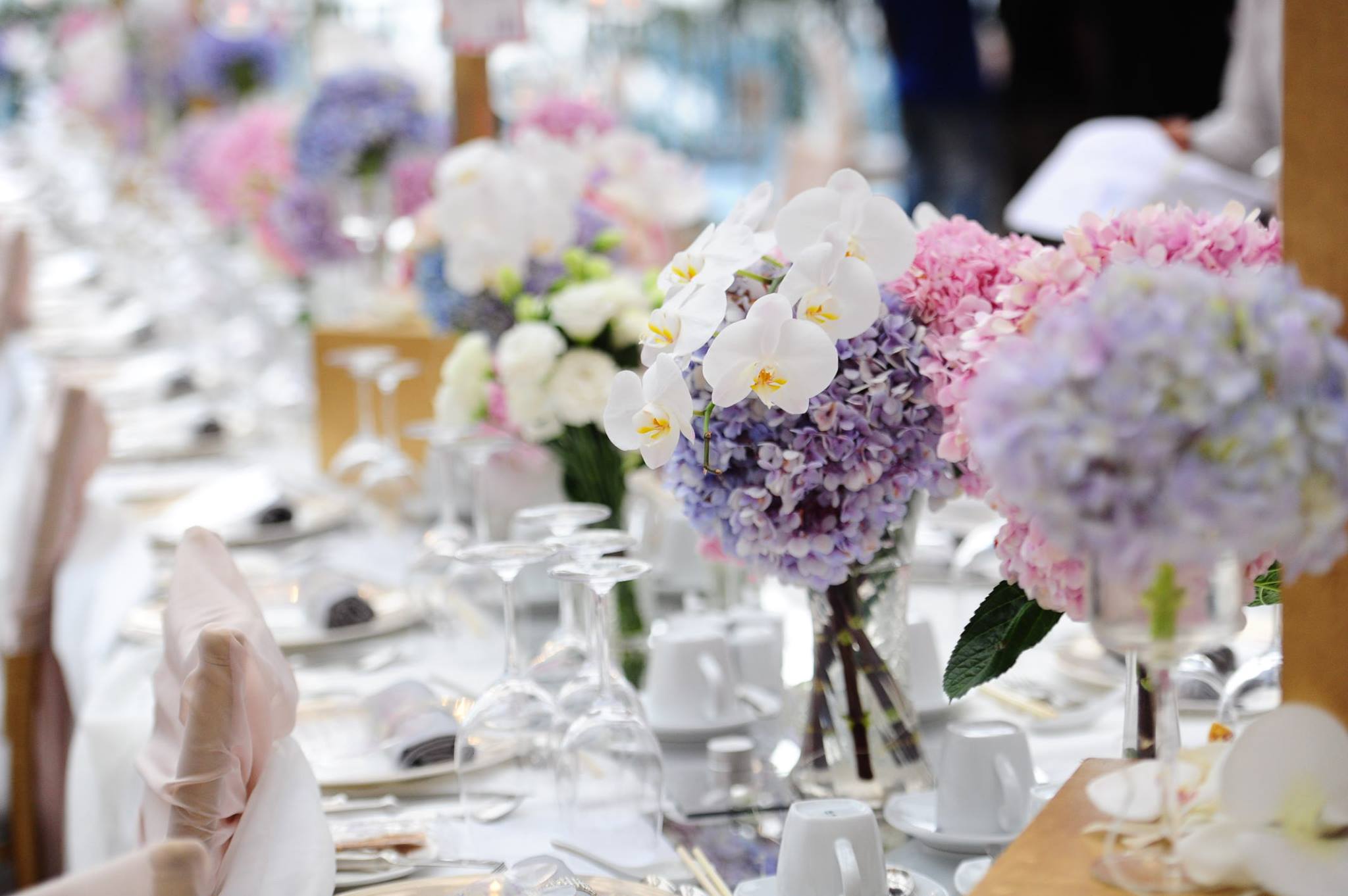 Spellbound Group Pte Ltd