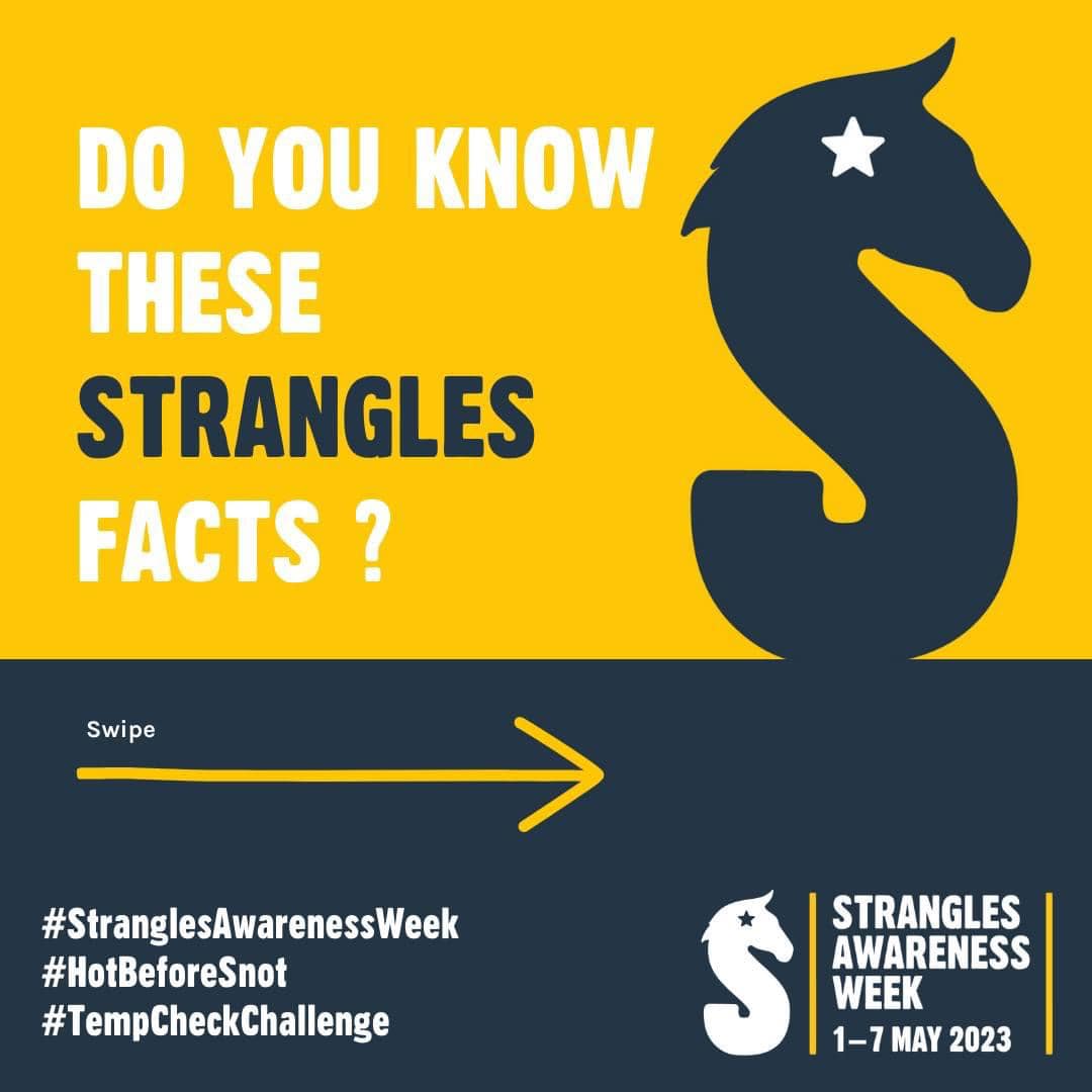 BHS Scotland - 🤔 Did you know these facts about Strangles ...