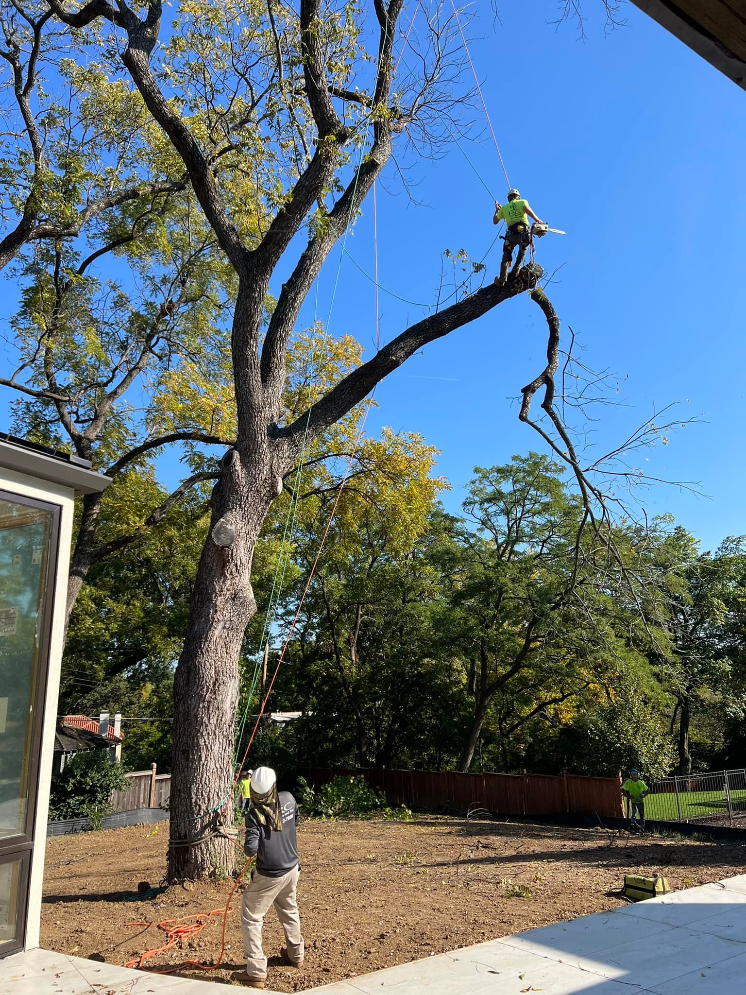 RC Tree Service | Kansas City MO