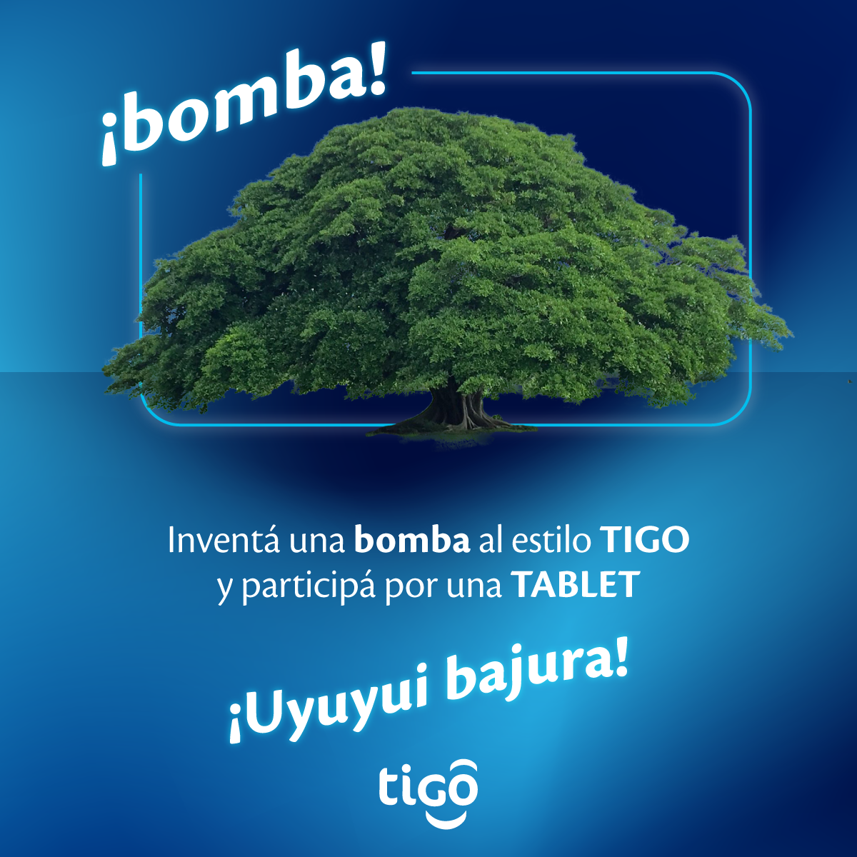 Tigo Costa Rica - 🎁 Celebramos 197 años de la Anexión de Guanacaste ...