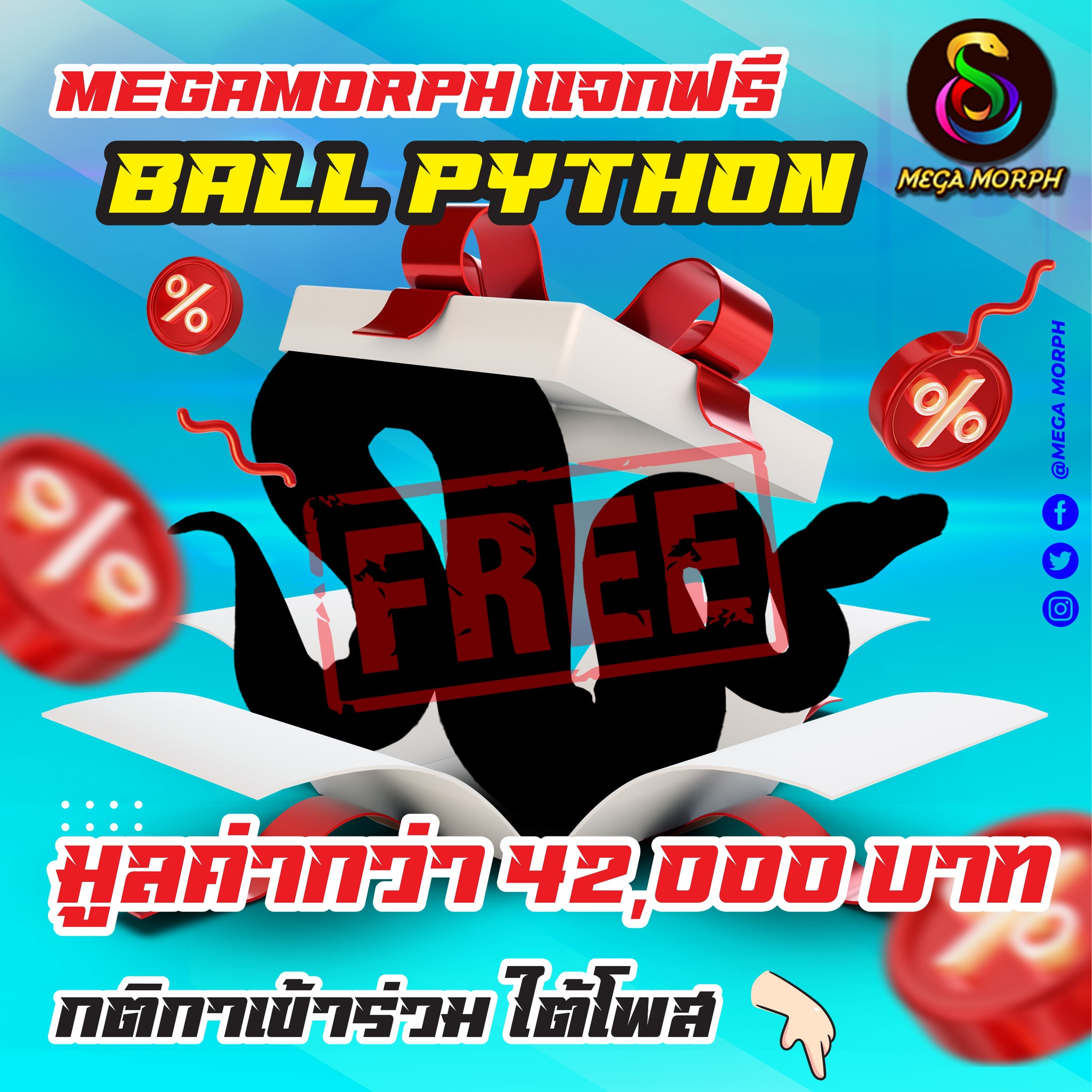 Mega Morph - 🐍 แจกฟรี !! น้อง Ballpython...
