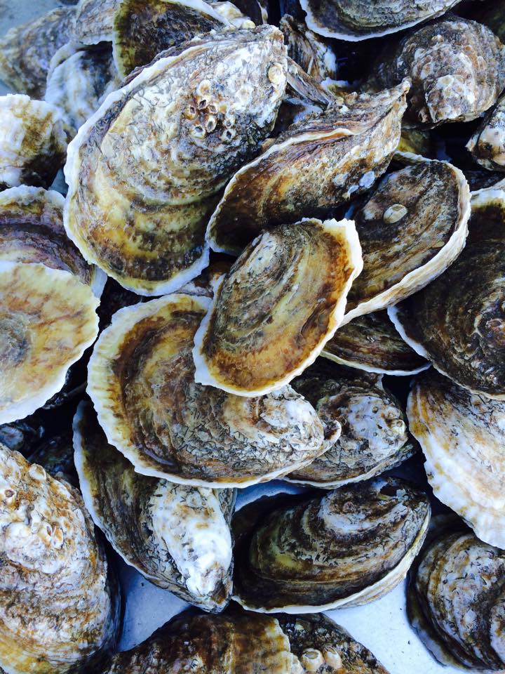 From Portersville Bay... - Auburn University Shellfish Lab