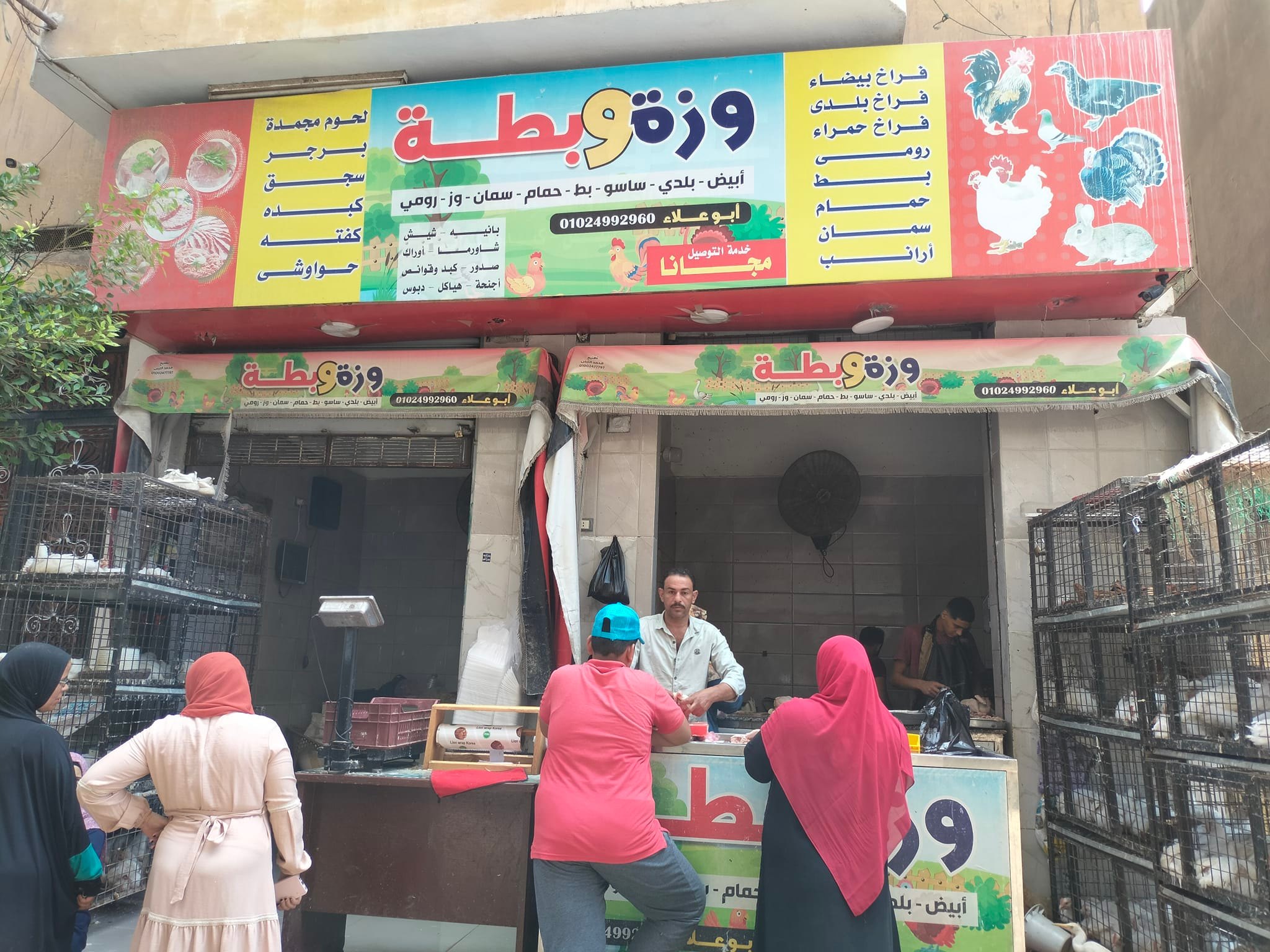 وزة وبطة