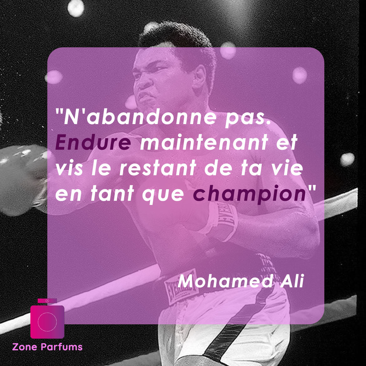 Reste Dans Ta Zone