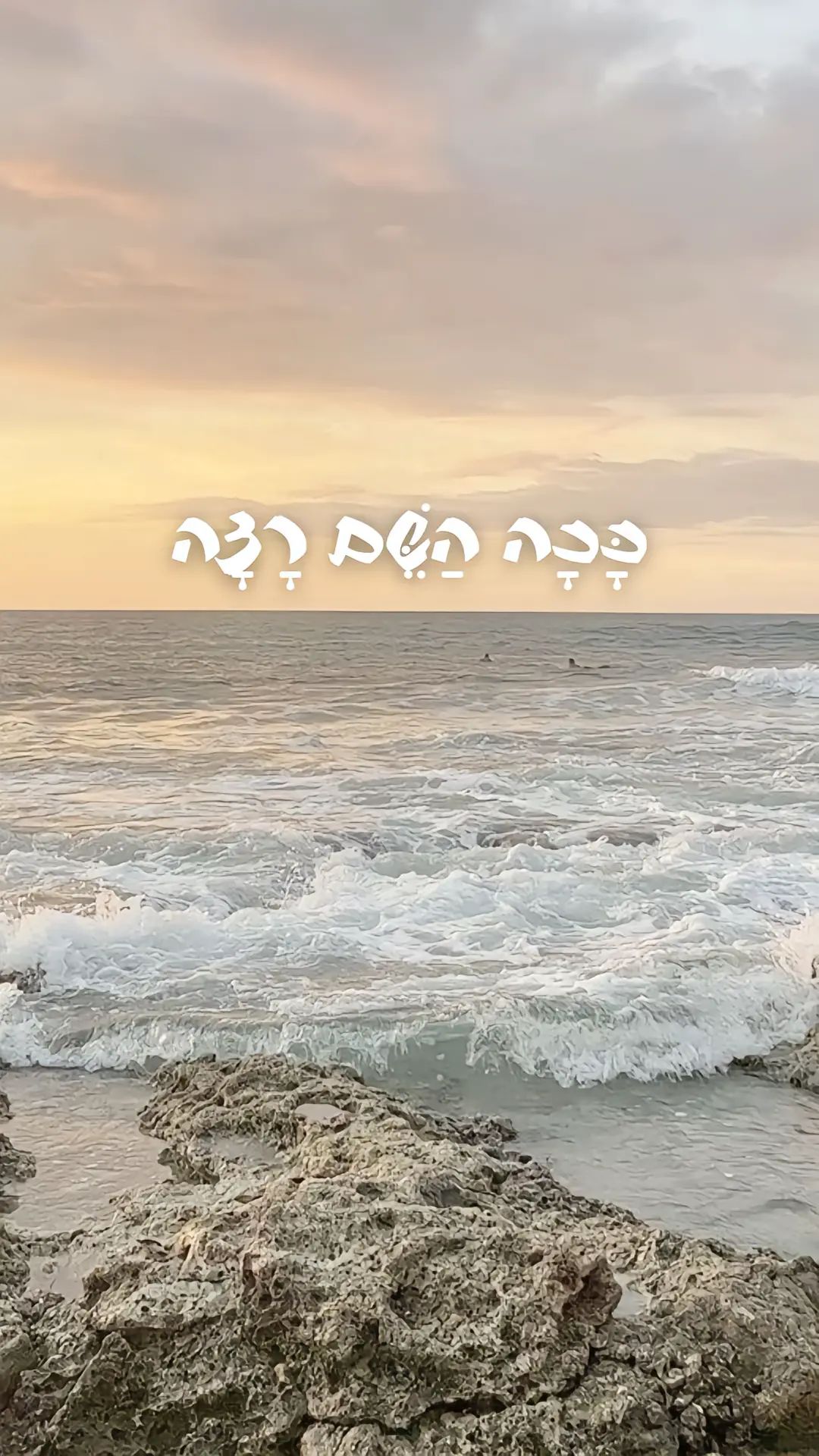 אורה יעקב