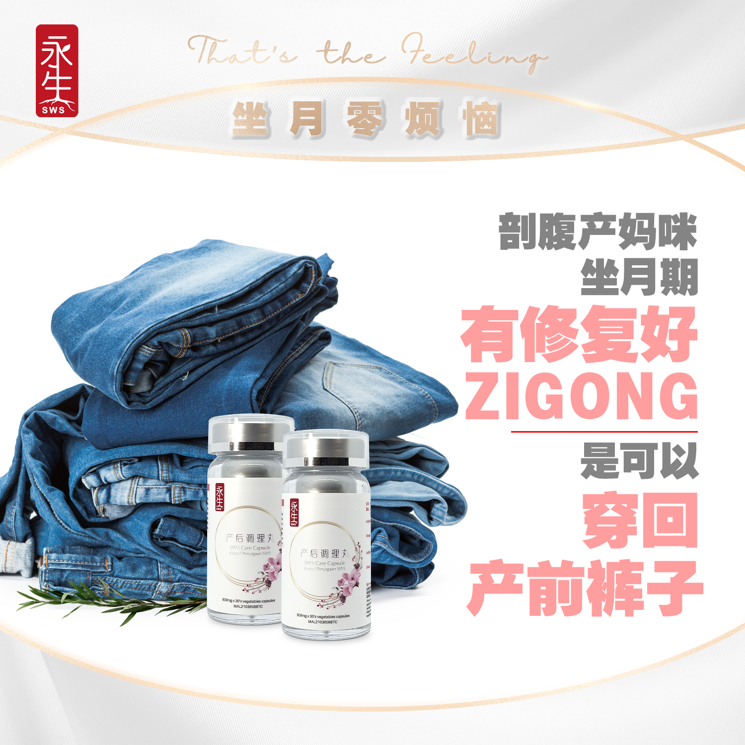 Classic Waist Tonic 经典补腰精