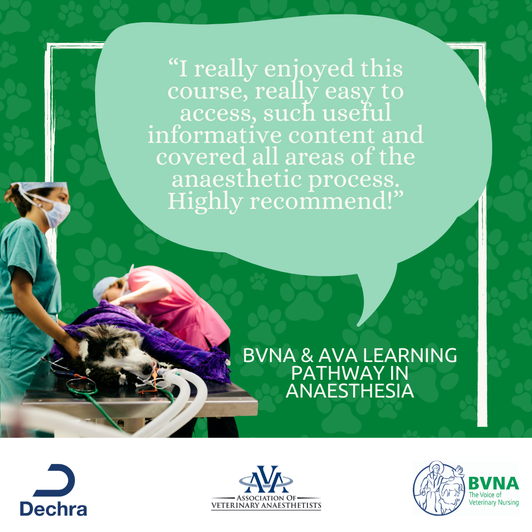 BVNA (The British Veterinary Nursing Association) - BVNA are delighted ...