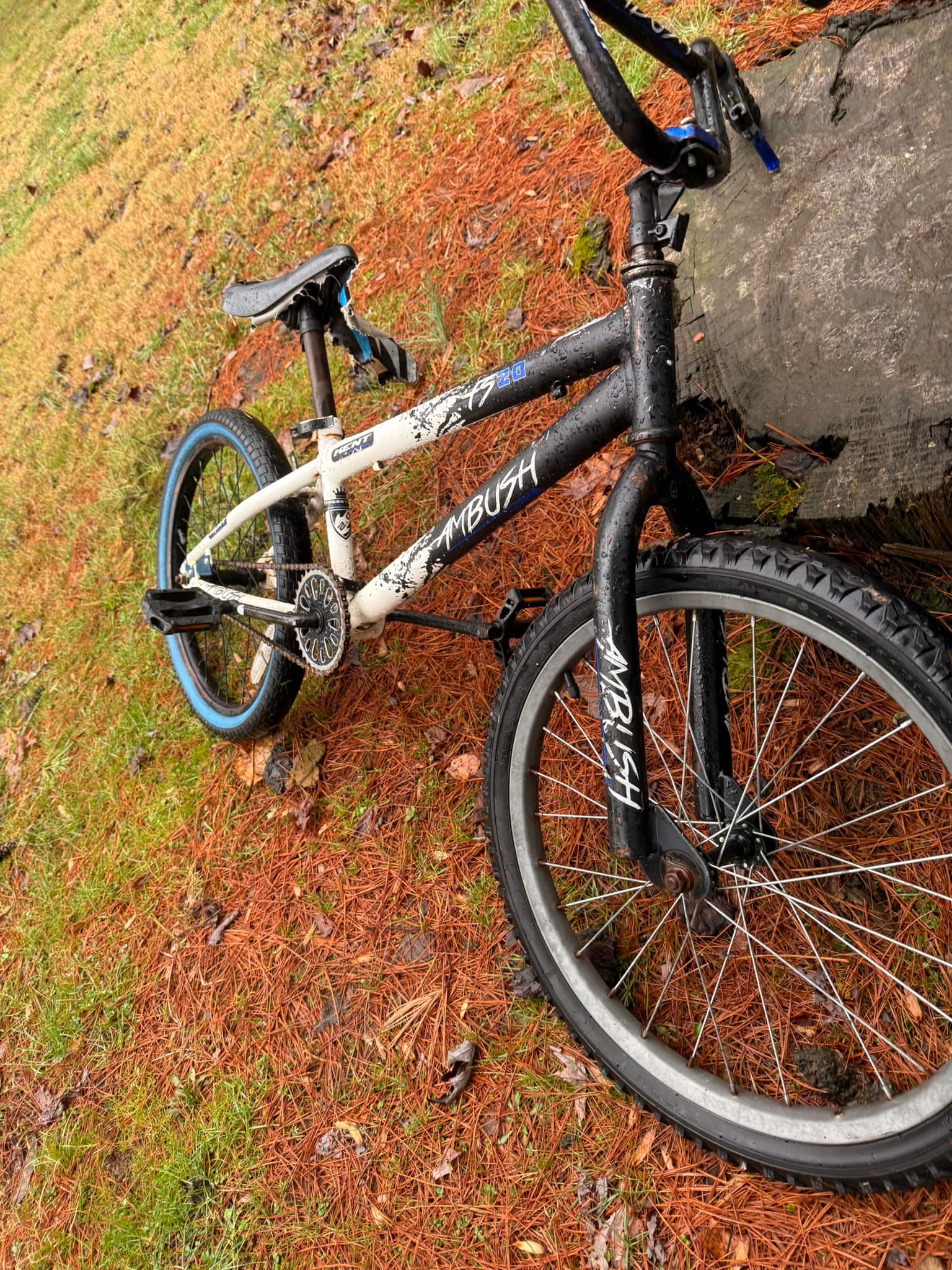 Did anyone lose BMX bikes in Sandy Springs park?