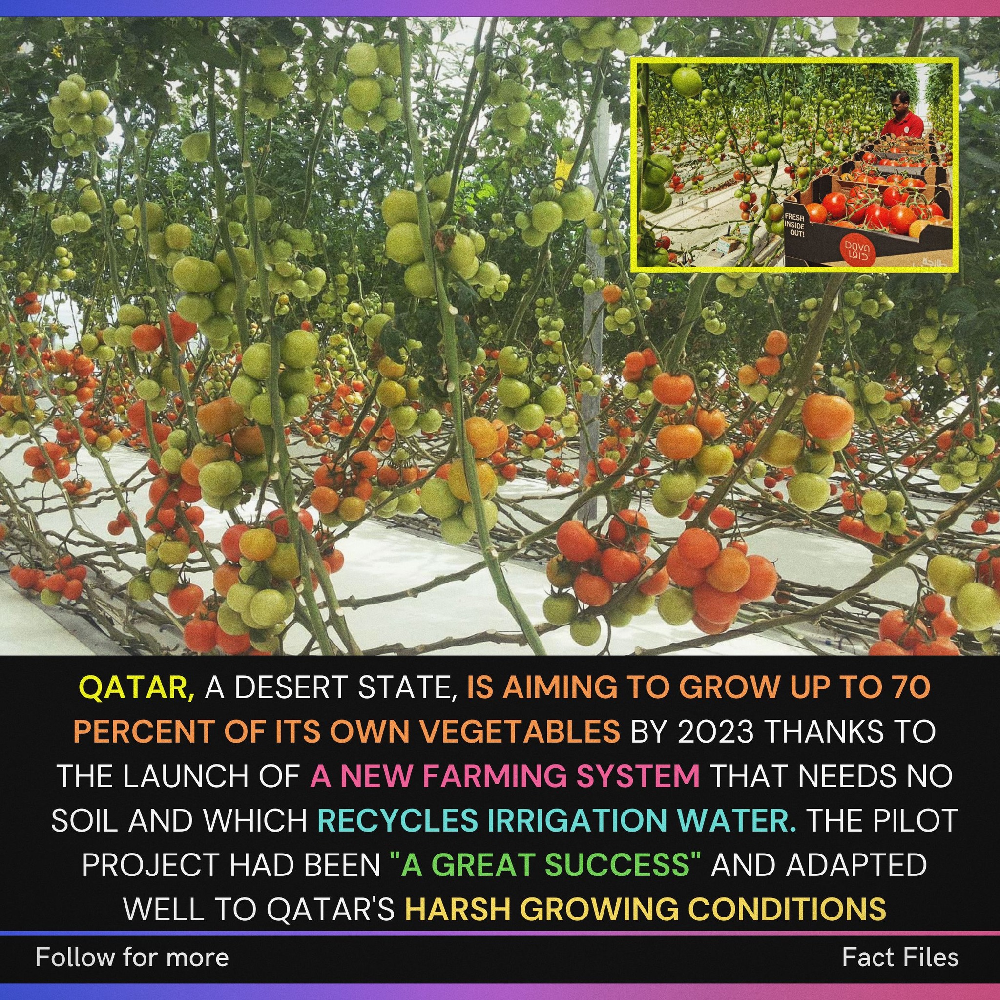 Preserving local farmland for vegetable production