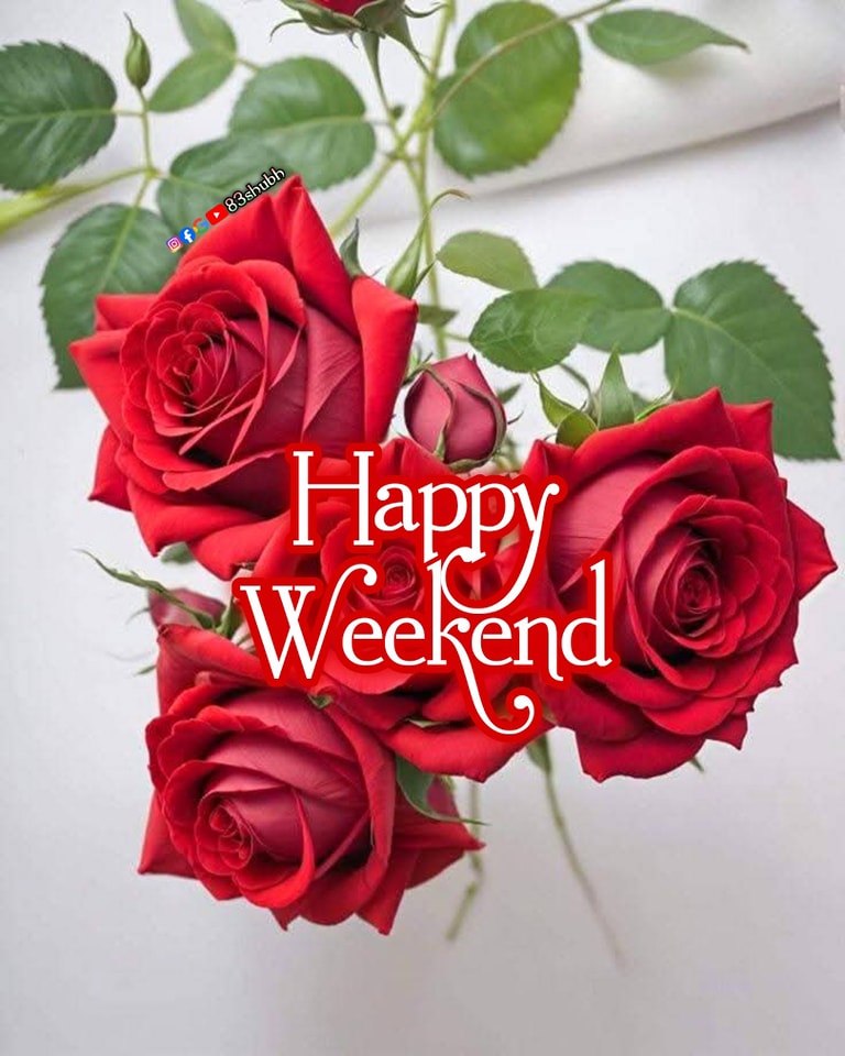 Flowers - 🌹🍁Happy Weekend🍁🌹Dear Friends🧡 Beautiful Roses Flowers🌹 # ...