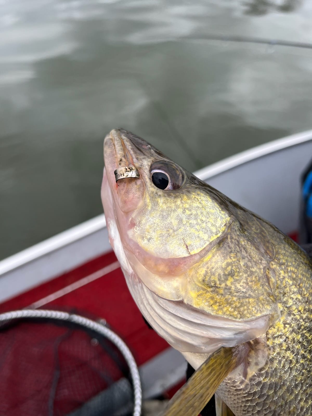 Slammin' 'Em Custom Rods by Mark Bleiler