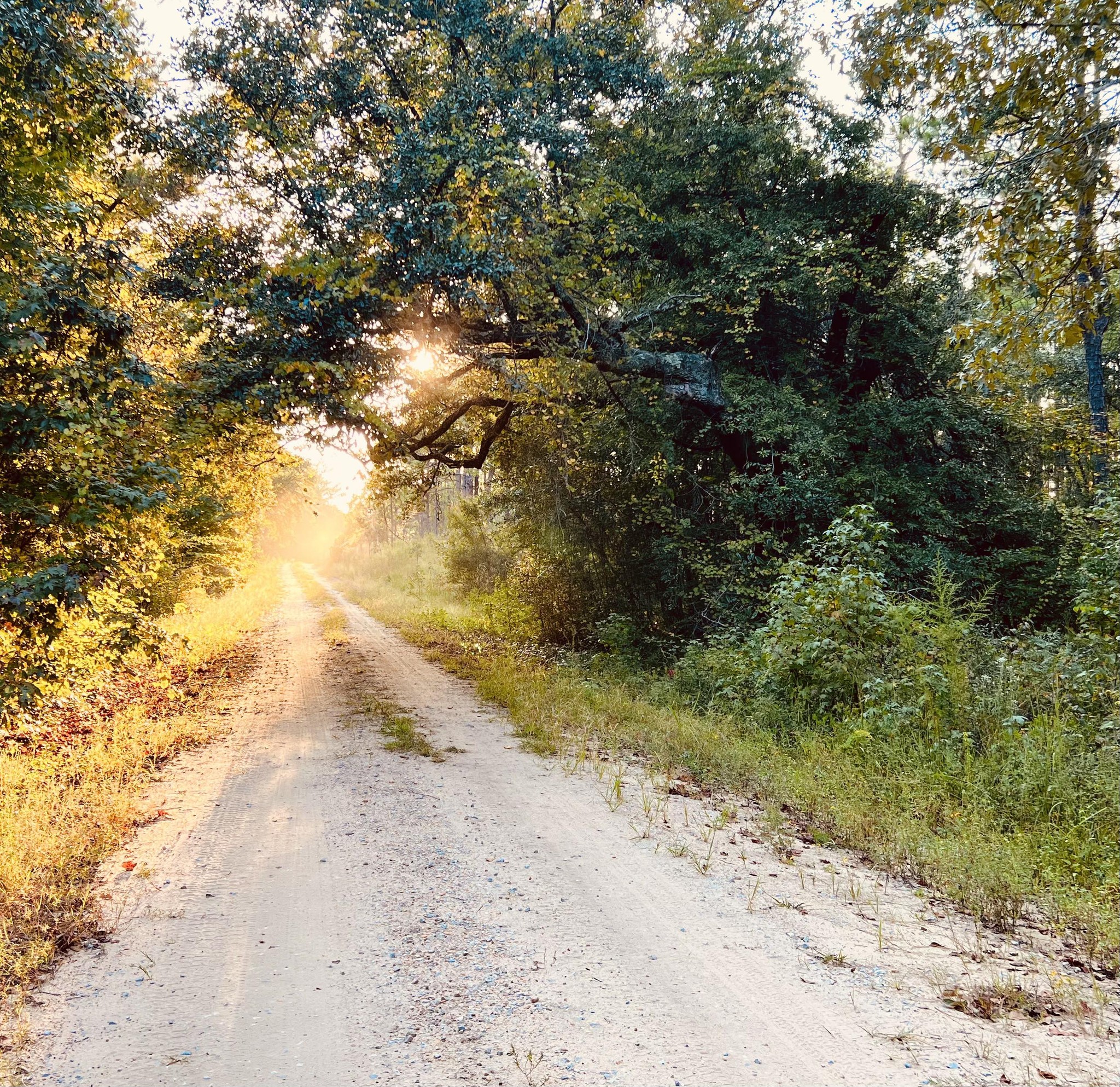 Kathy Lee Jones Photography... Kathy Lee Jones Photography