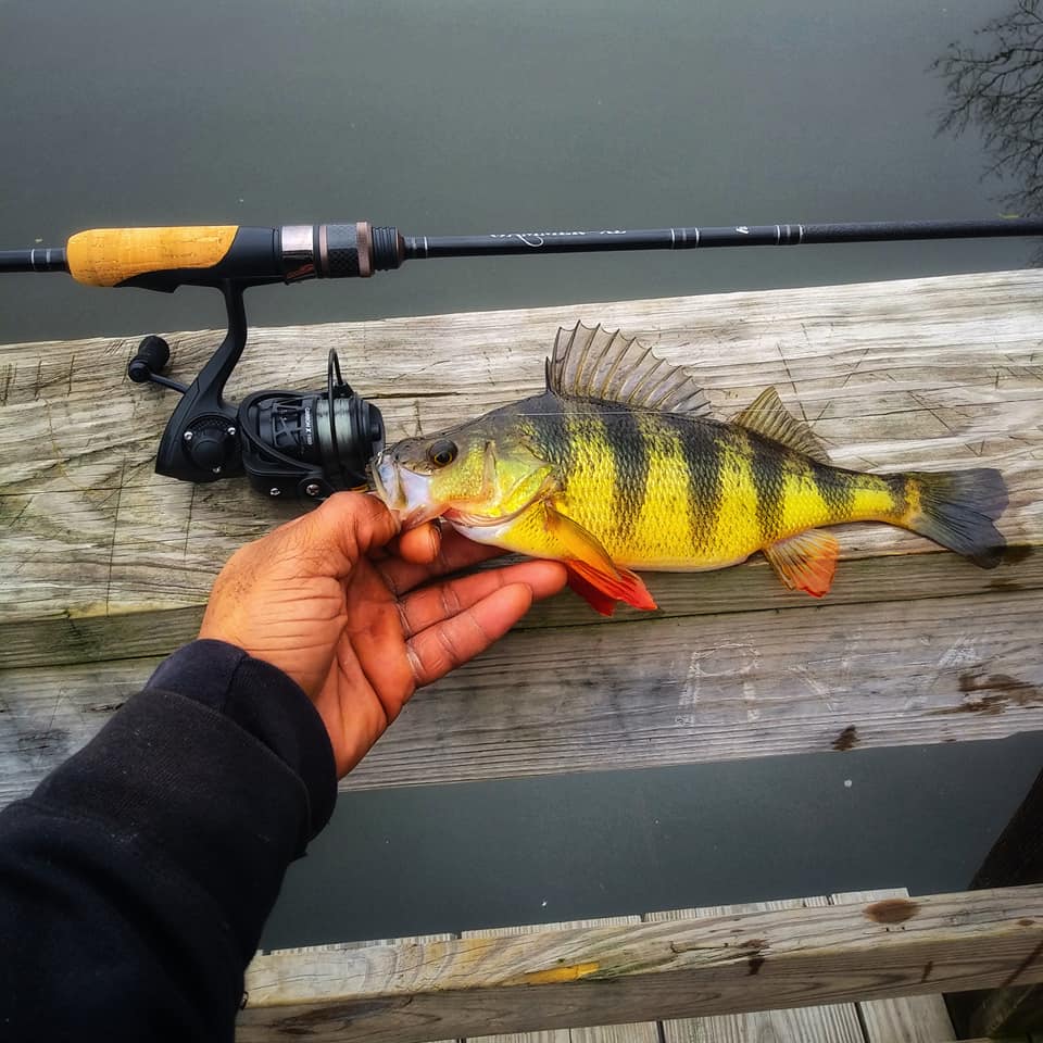 fishing rods st croix St. Connect 990-4 Fly Rod and Reel Outfit diy rig and topped off with Color:Mad Craw Krazy Kool Spinning Combo