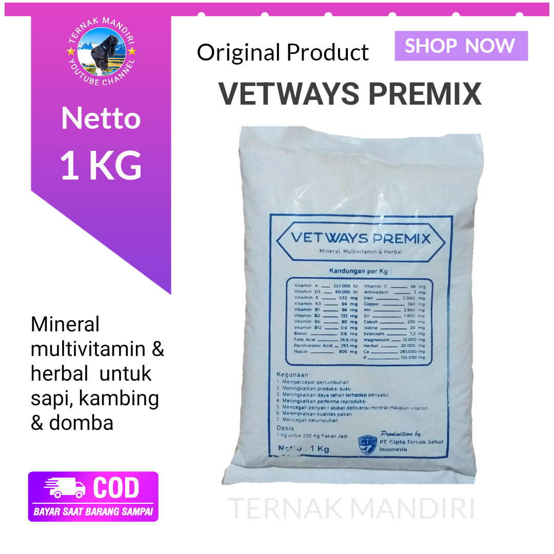Ternak - Premix terbaik untuk ternak kambing domba sapi (Ruminansia ...