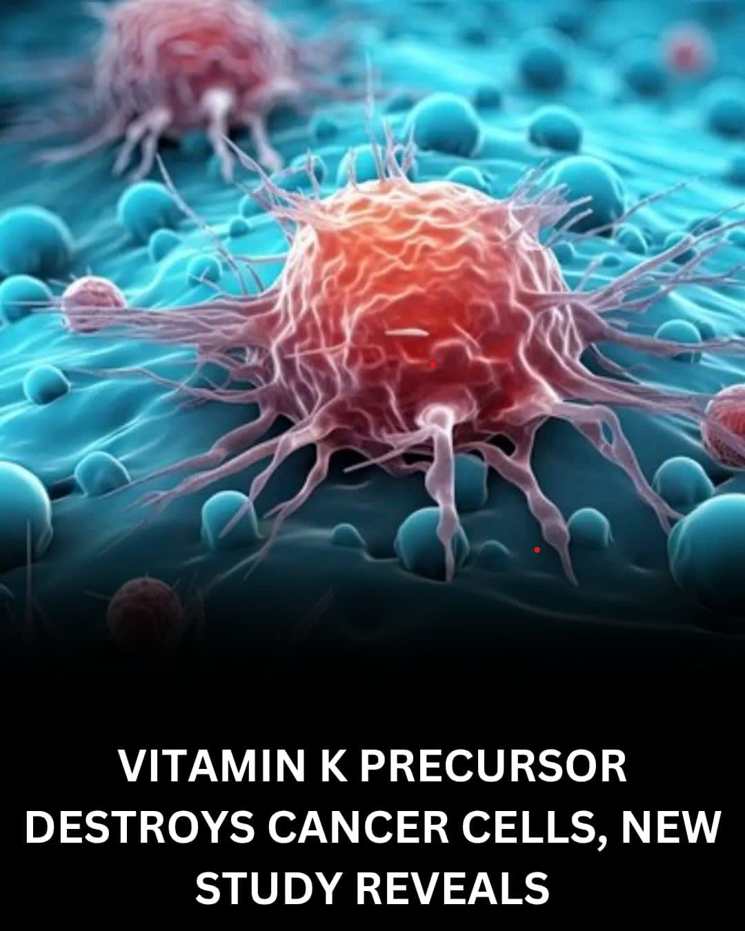 Daily - Scientists have identified a precursor to Vitamin K, known as ...