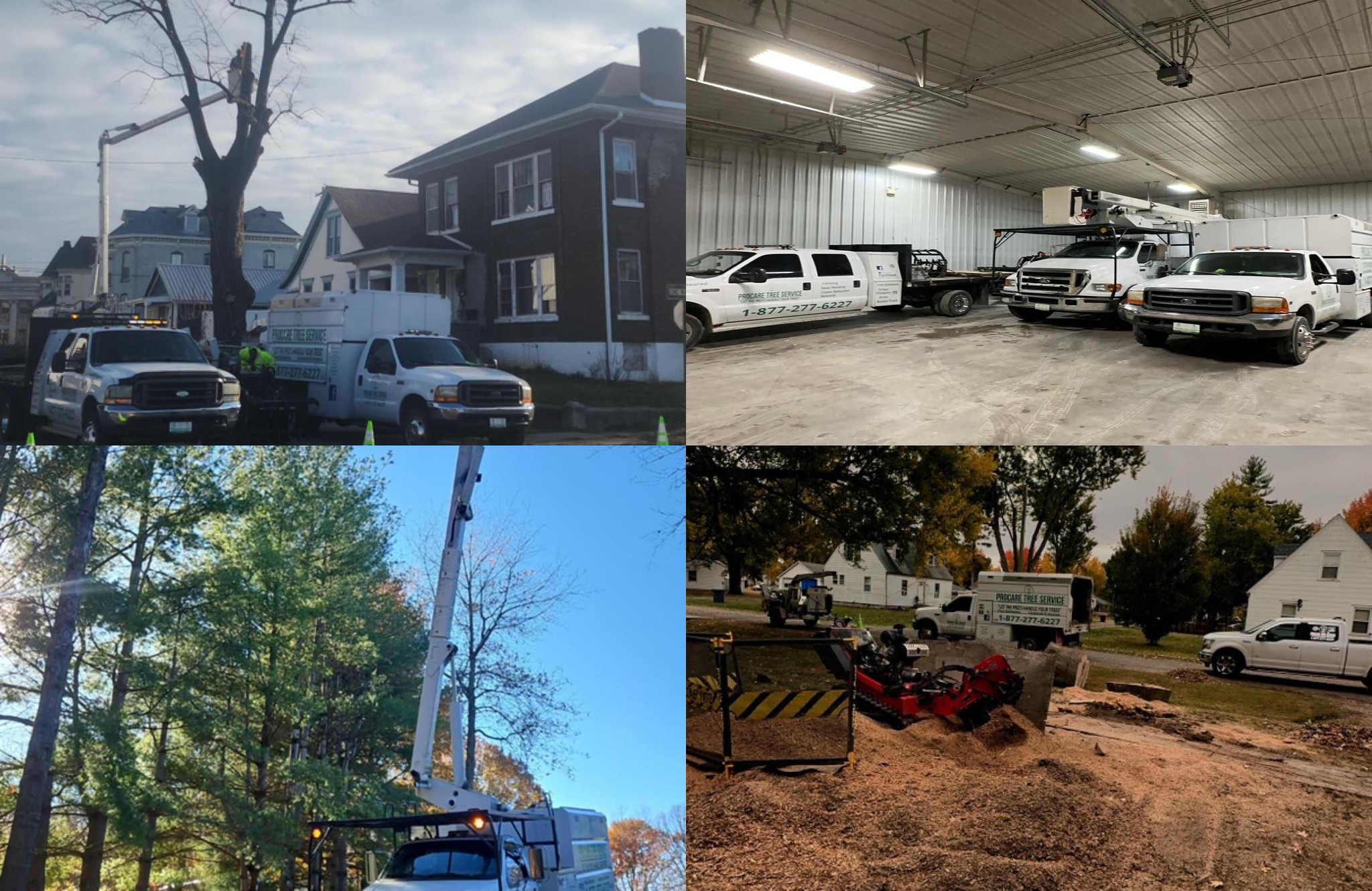 ProCare Tree Service LLC | Hannibal MO