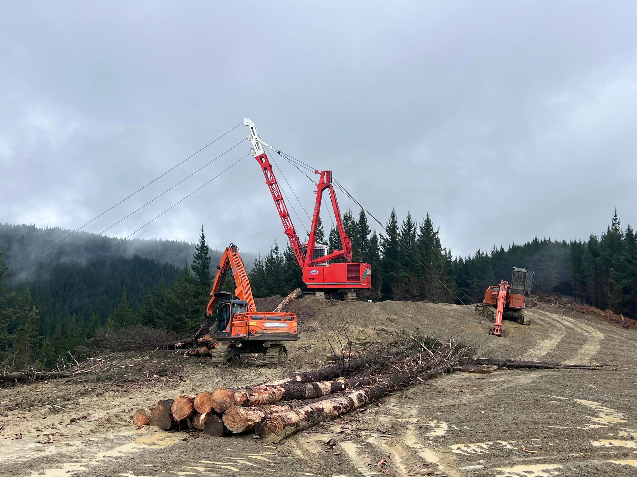 Kelly Logging Ltd | Nelson
