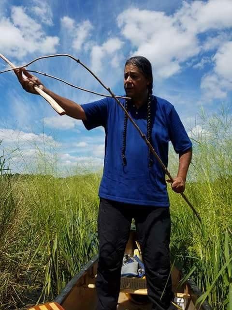 BBC World Service - 📸 : Lee Sprague plants wild rice in the lakes and ...