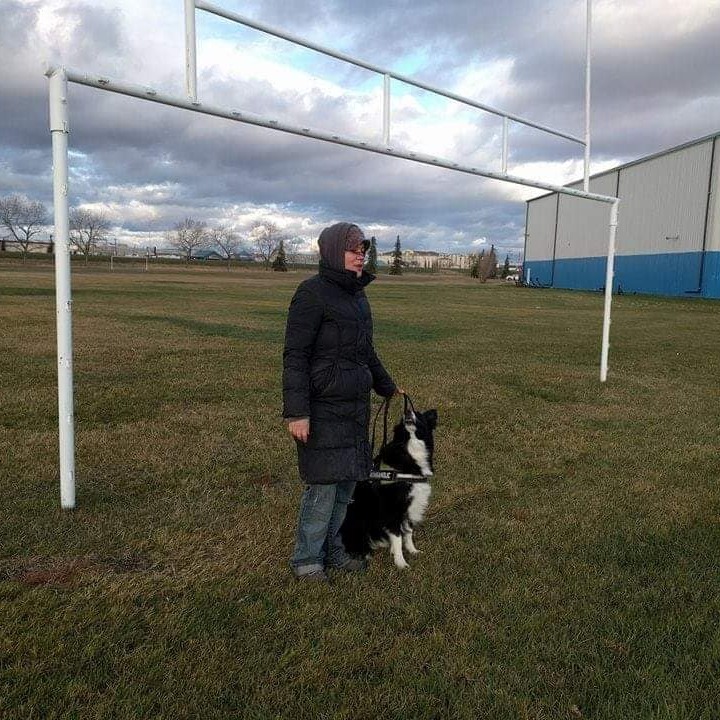 Ace, a recent private lesson... - Canines in the Community | Facebook
