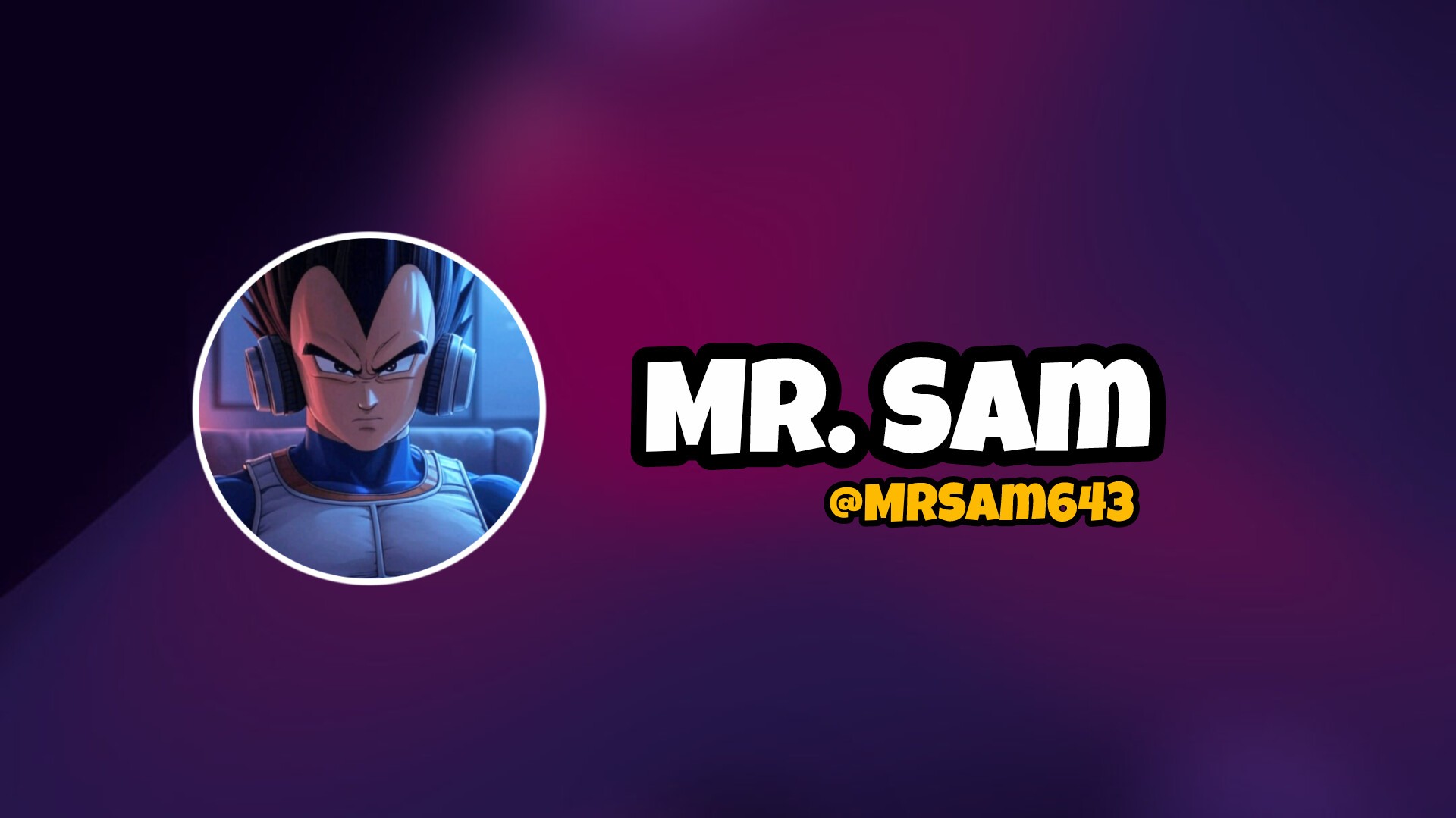 Mr. Sam