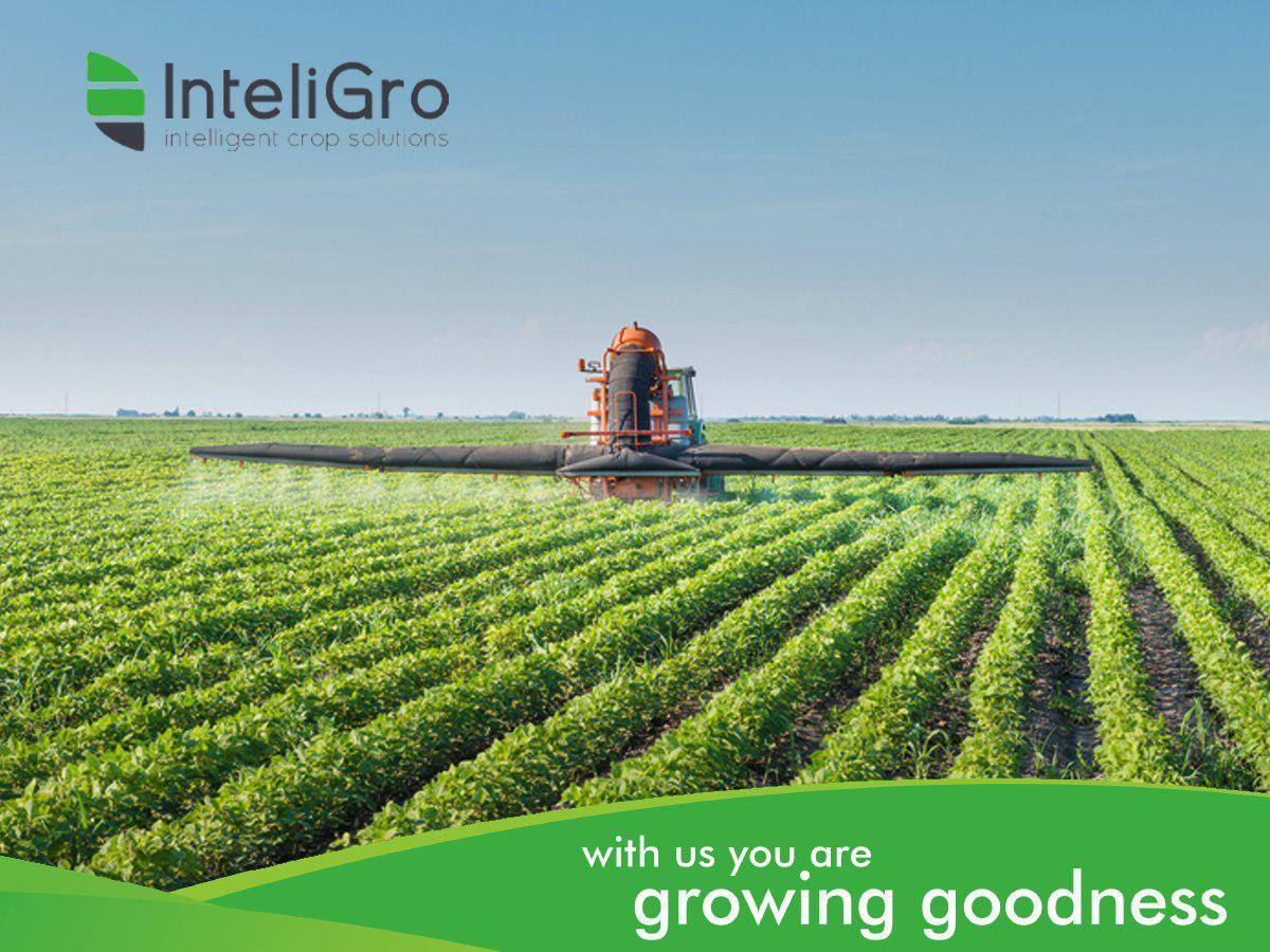 InteliGro - #DidYouKnow: • 10 000 + species of...