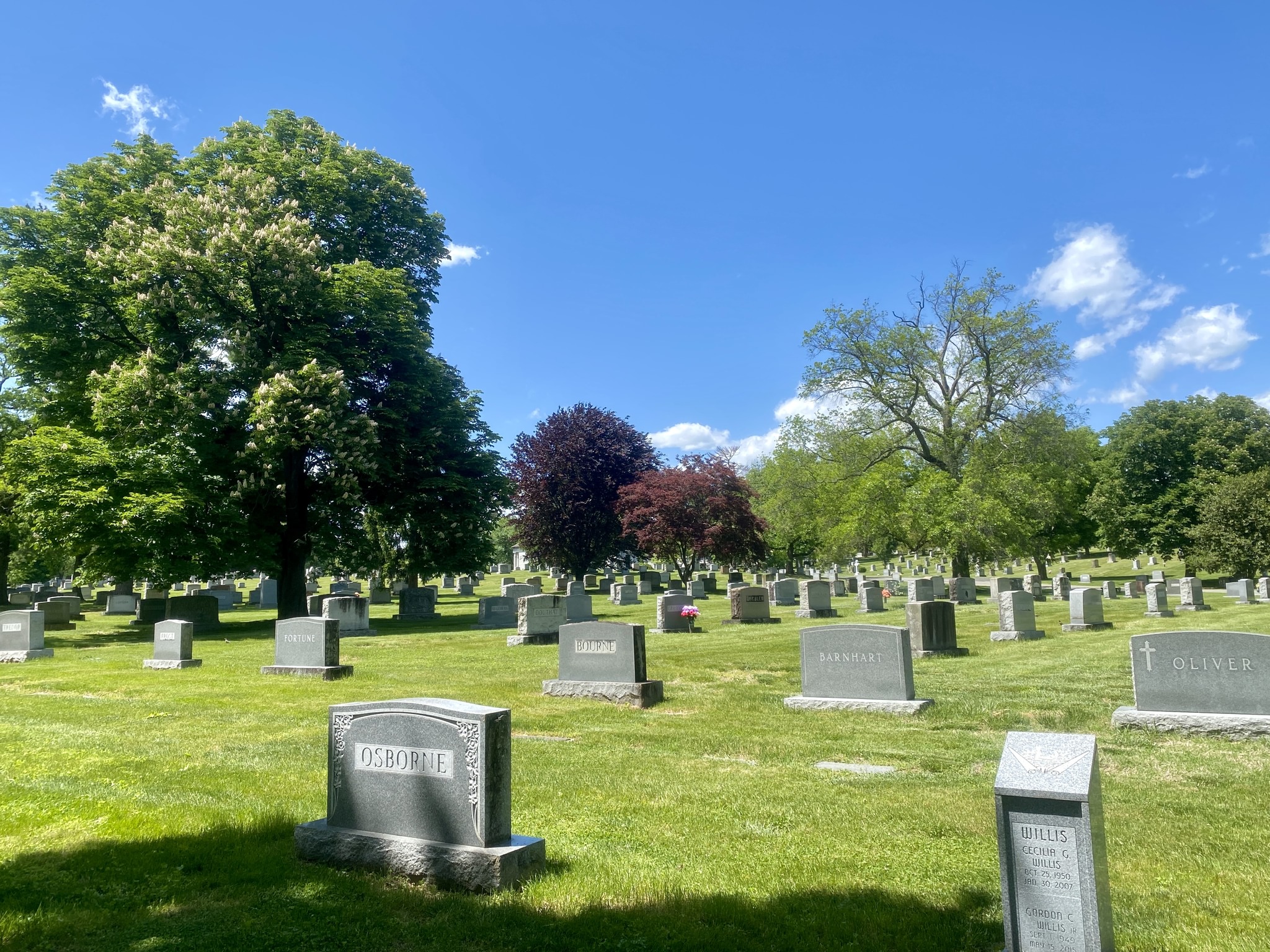 Historic - The modern or rural cemetery movement began in the late 19th ...