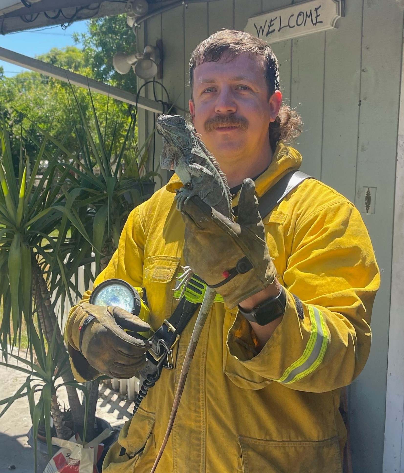 City - Dixon firefighters working at the site of yesterday's fire on ...
